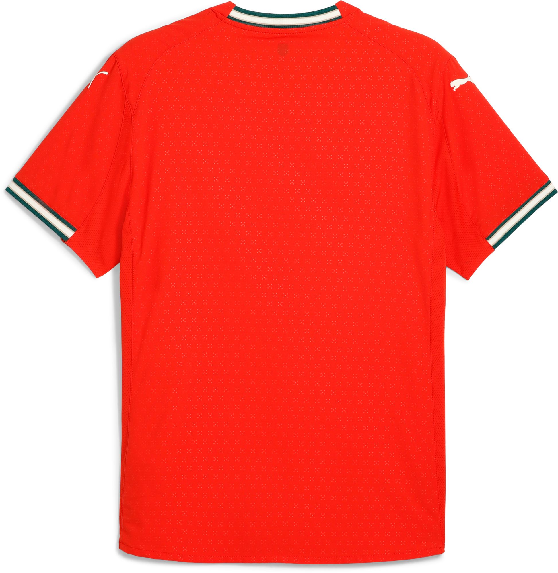 PUMA Adult Portugal Home Authentic Jersey product image