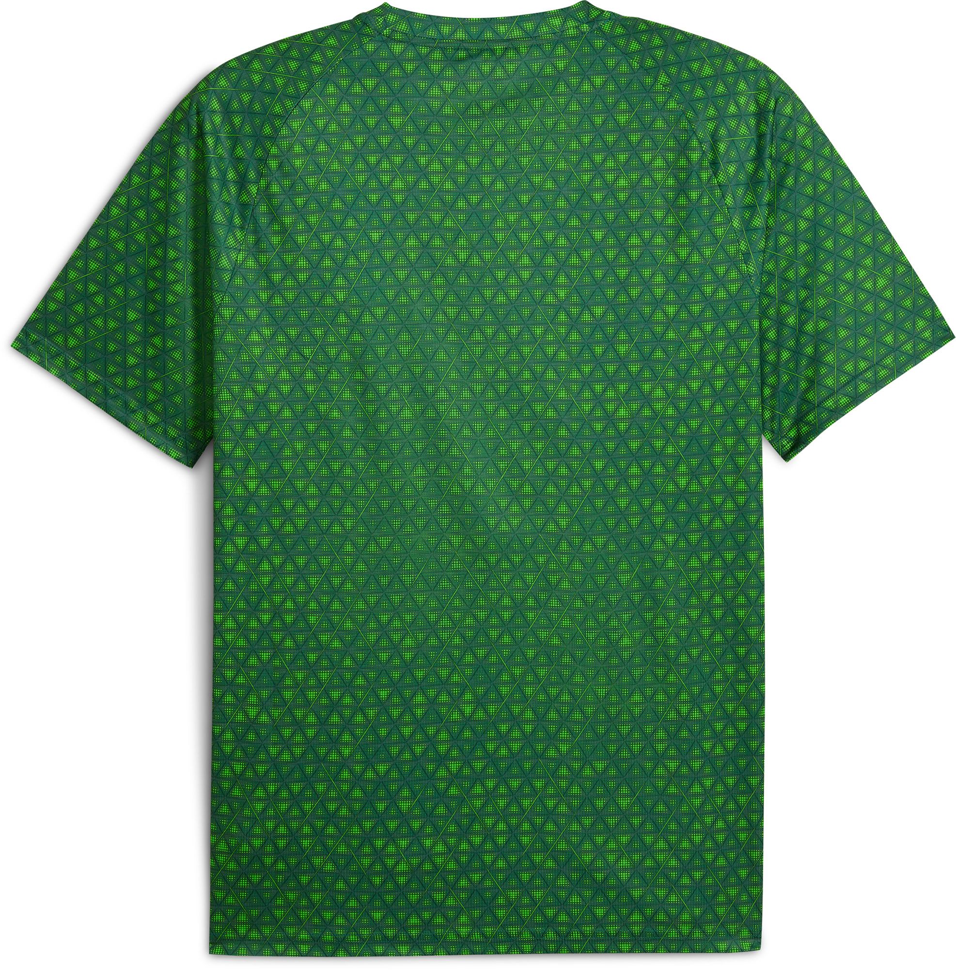 PUMA Men's Manchester City Green Alternate Prematch Jersey product image