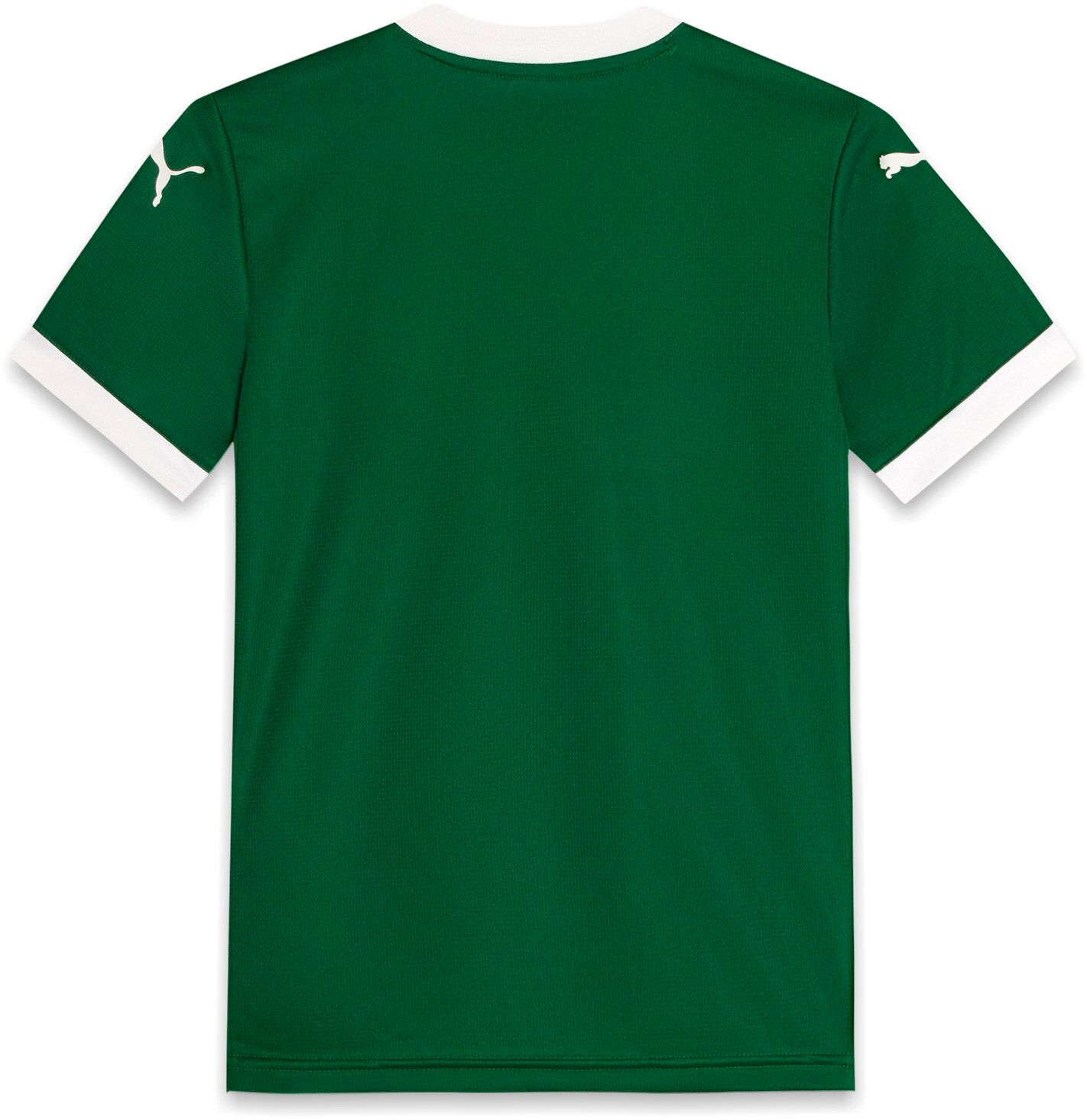 PUMA Youth Palmeiras 2025-26 Green Home Replica Jersey product image