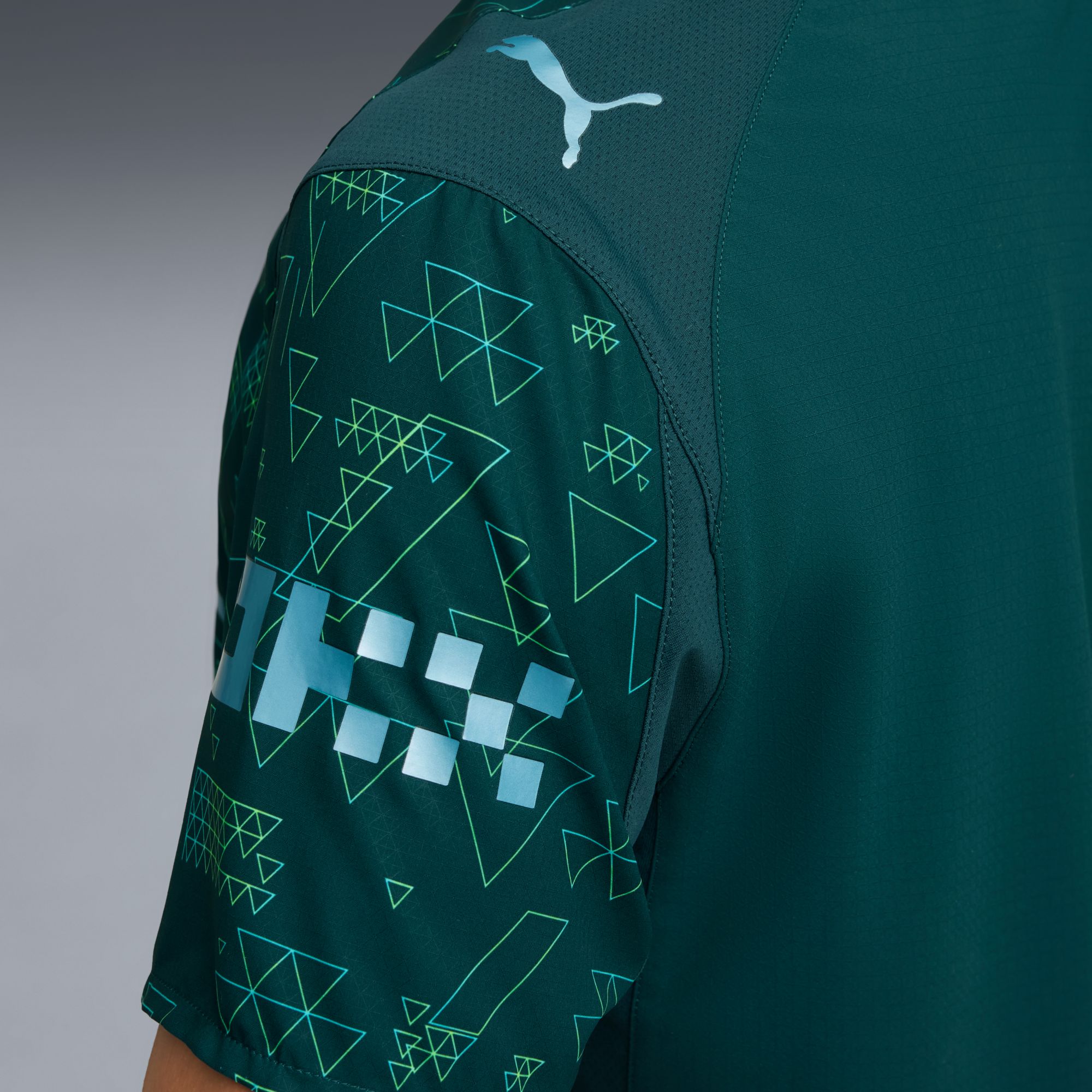 PUMA Adult Manchester City 2025-26 Fourth Authentic Jersey product image