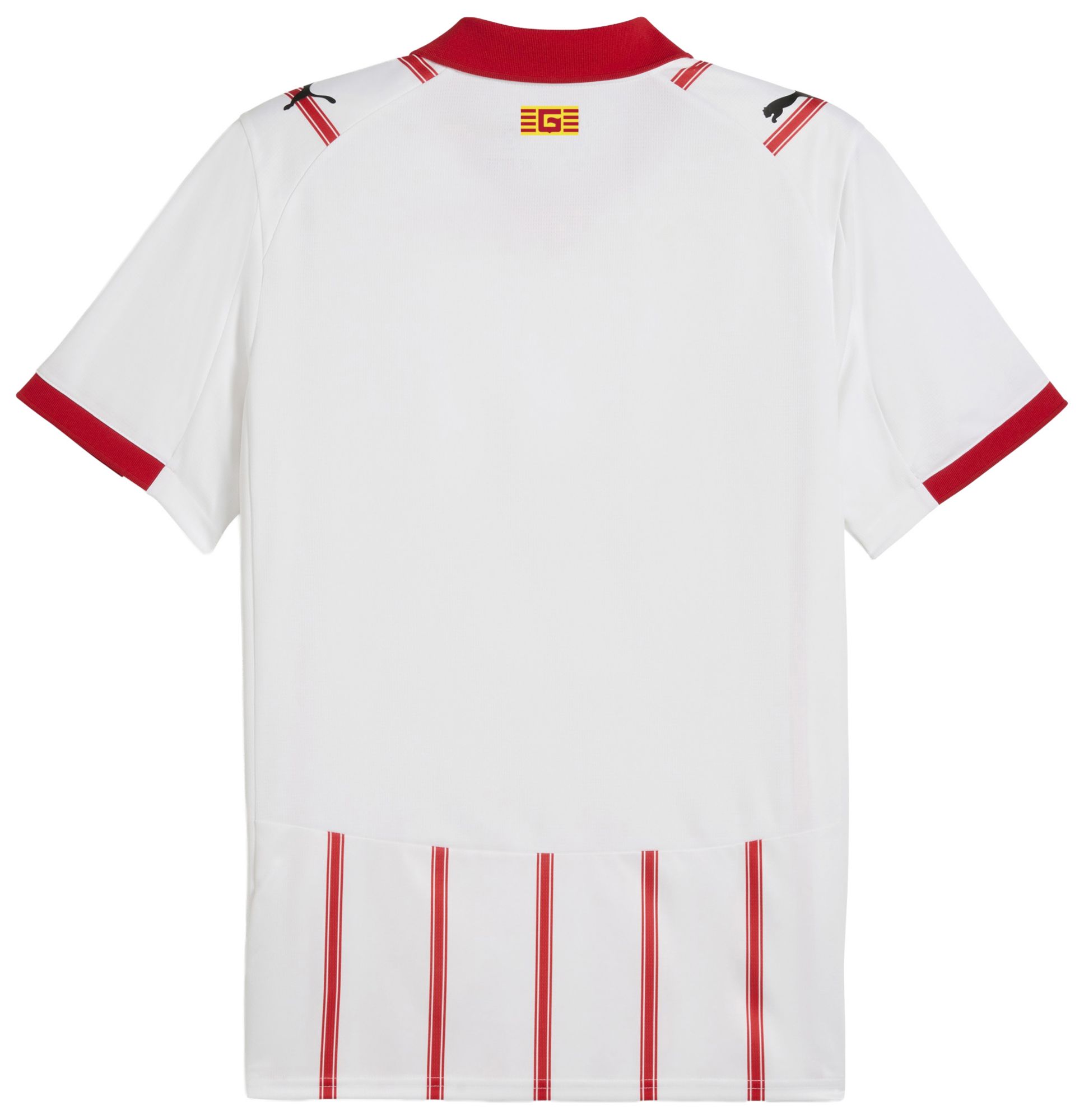 PUMA Adult FC St. Pauli 2025-26 Away Replica Jersey product image
