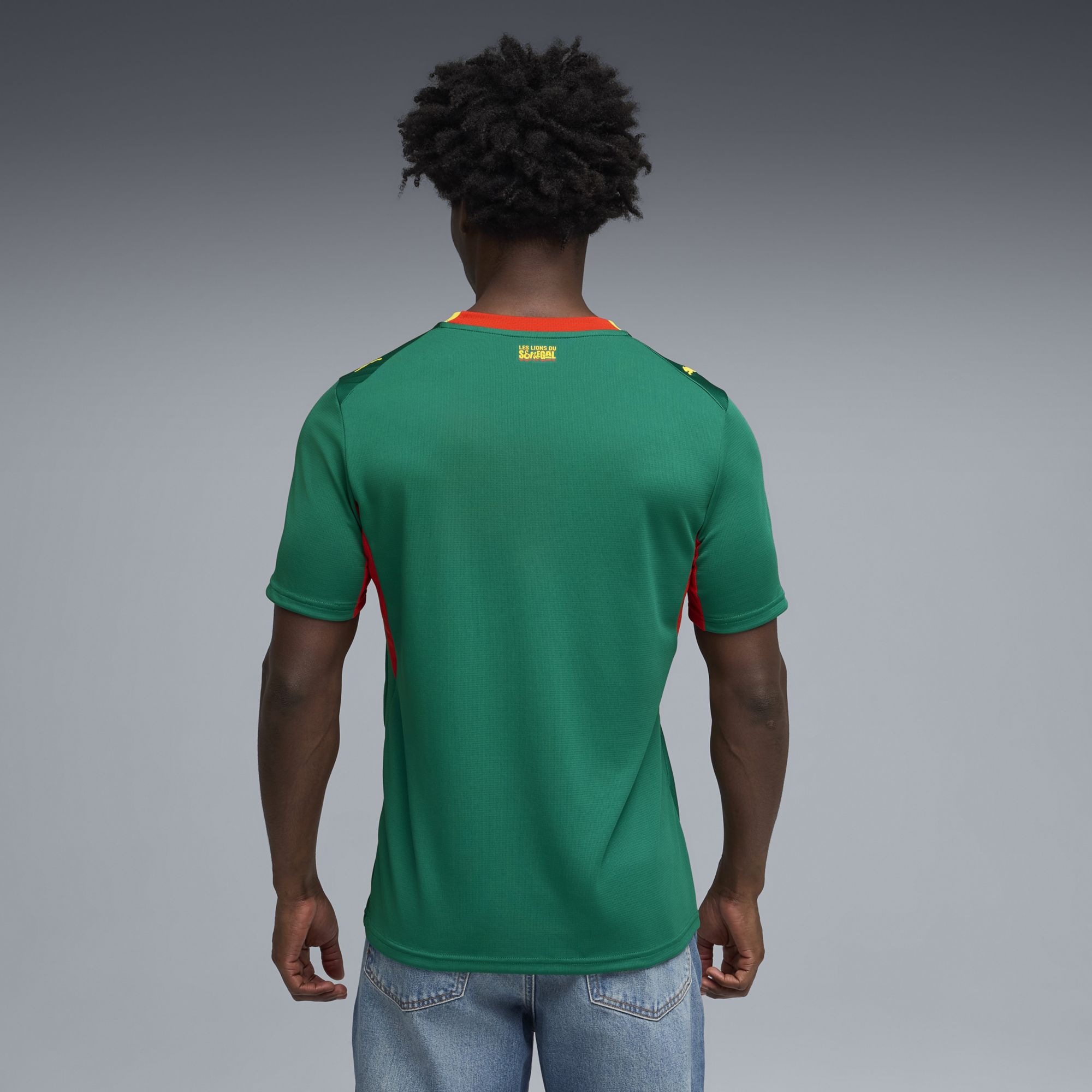 PUMA Adult Senegal 2026 Away Replica Jersey product image
