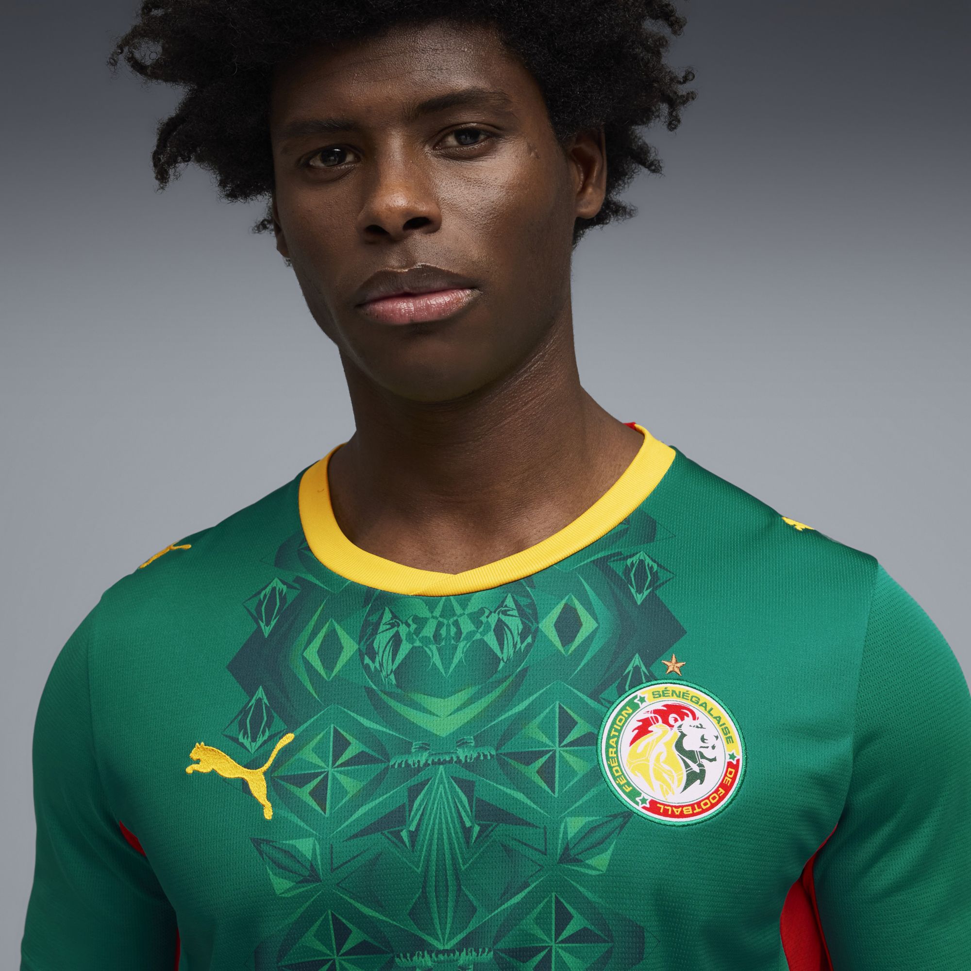 PUMA Adult Senegal 2026 Away Replica Jersey product image