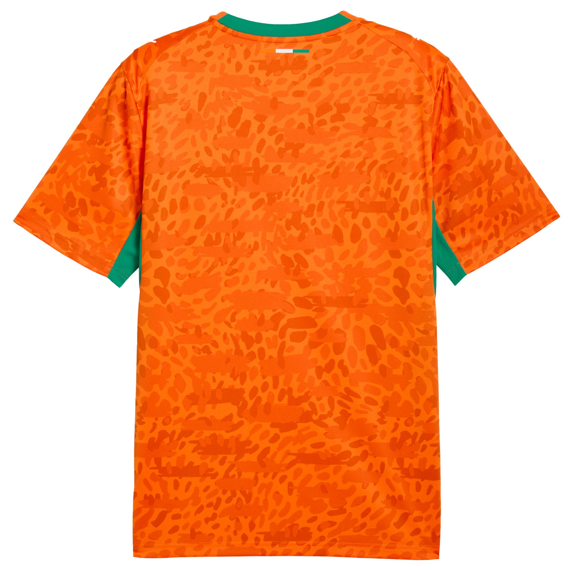 PUMA Adult Ivory Coast 2026 Home Replica Jersey product image
