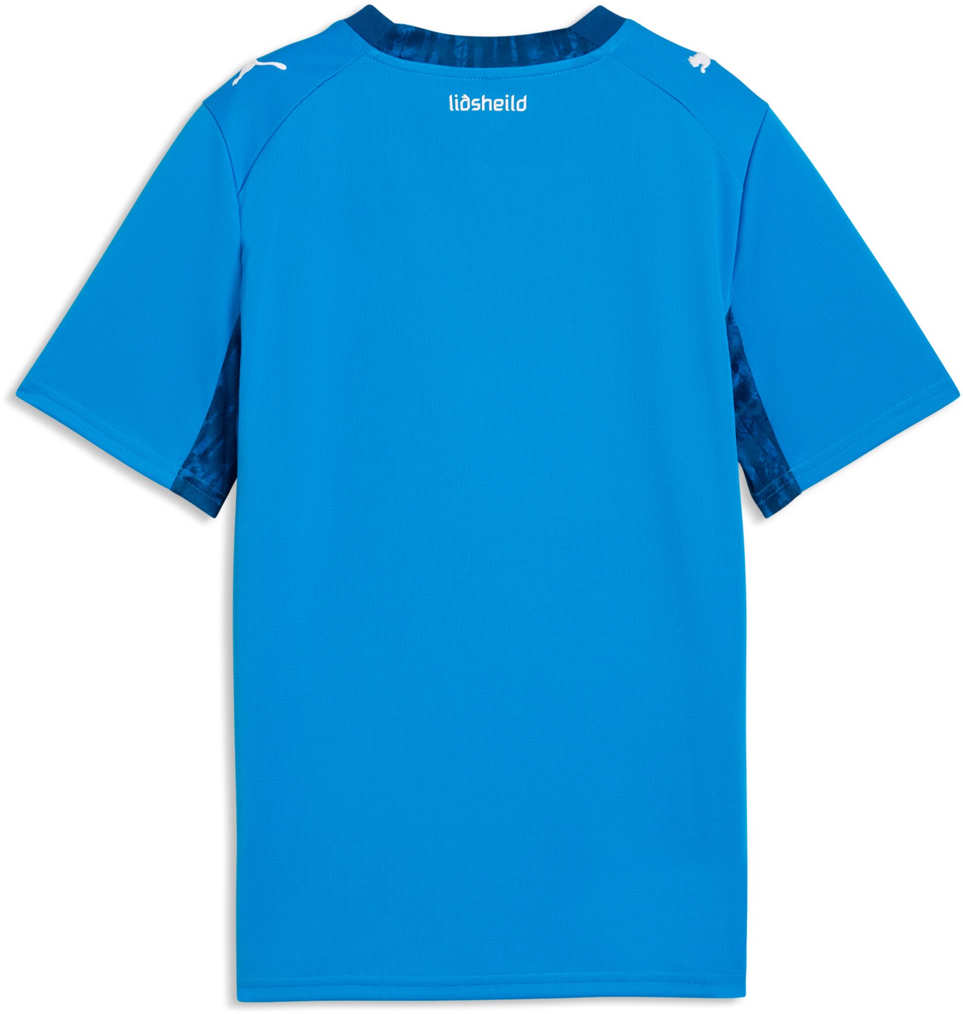 PUMA Youth Iceland 2026 Home Replica Jersey product image