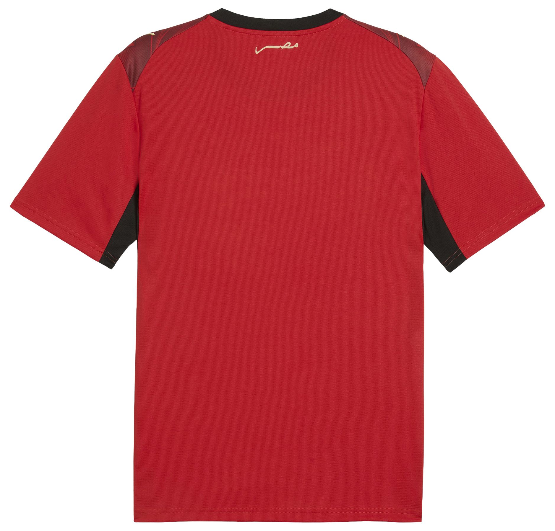 PUMA Adult Egypt 2026 Home Replica Jersey product image