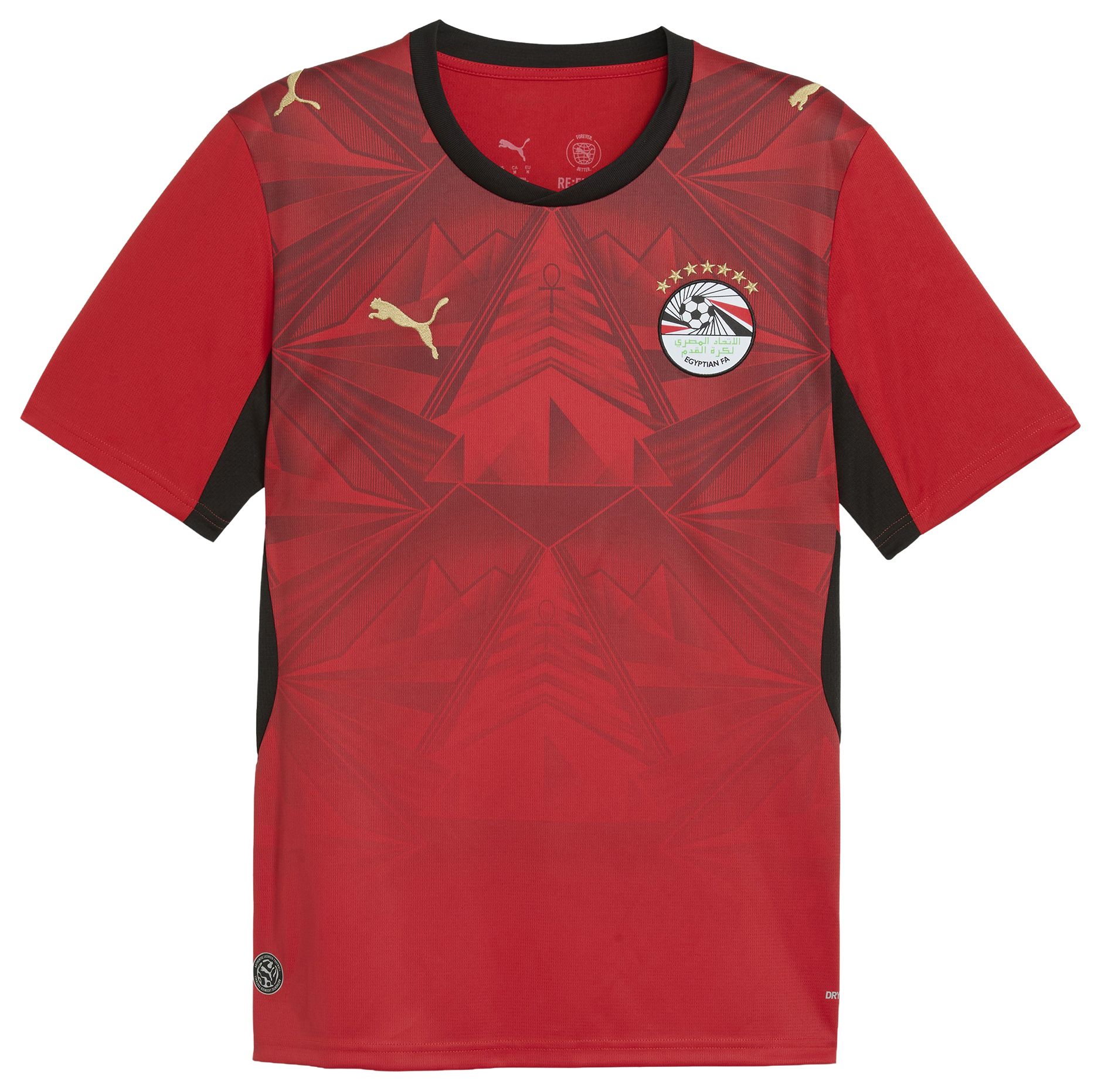 PUMA Adult Egypt 2026 Home Replica Jersey product image