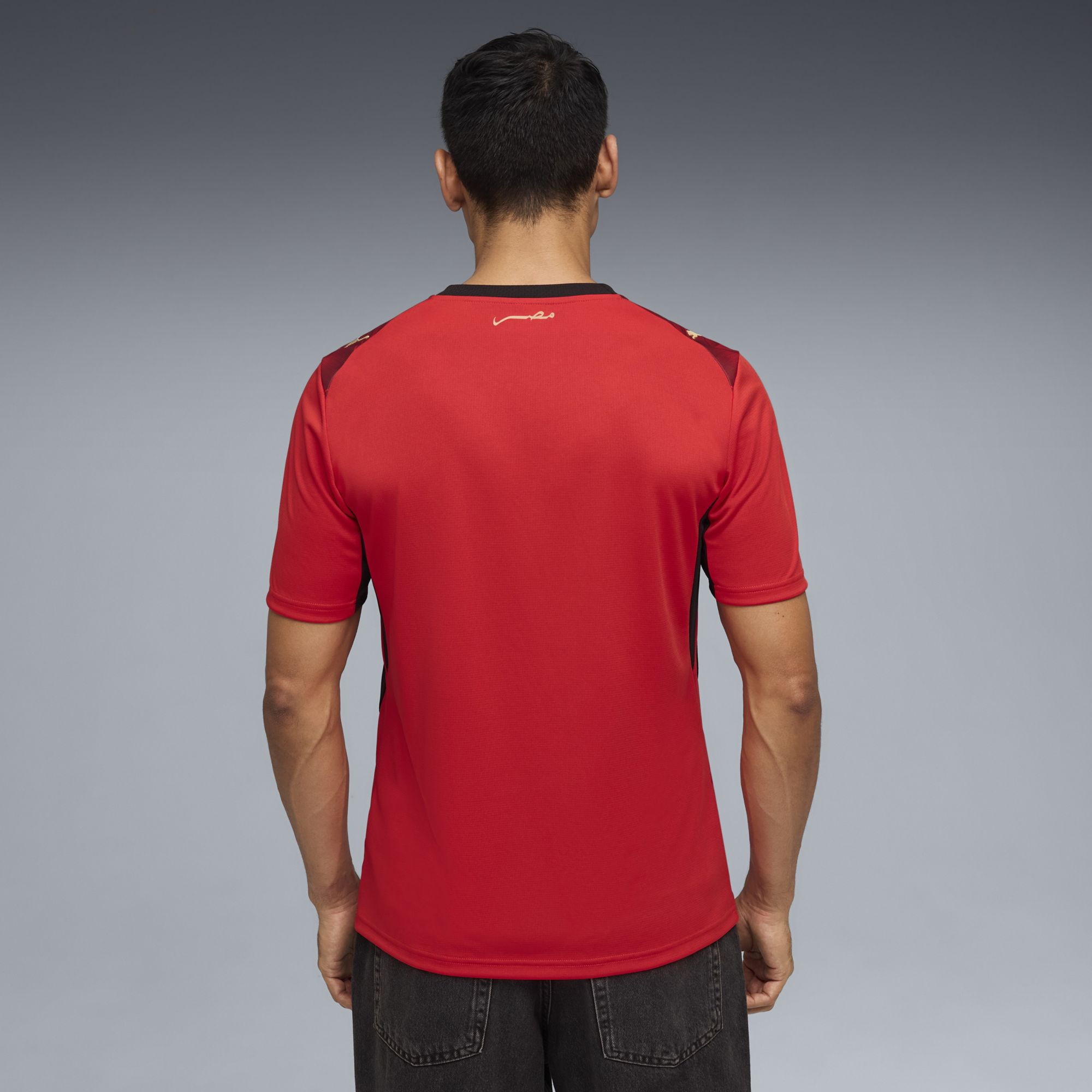 PUMA Adult Egypt 2026 Home Replica Jersey product image