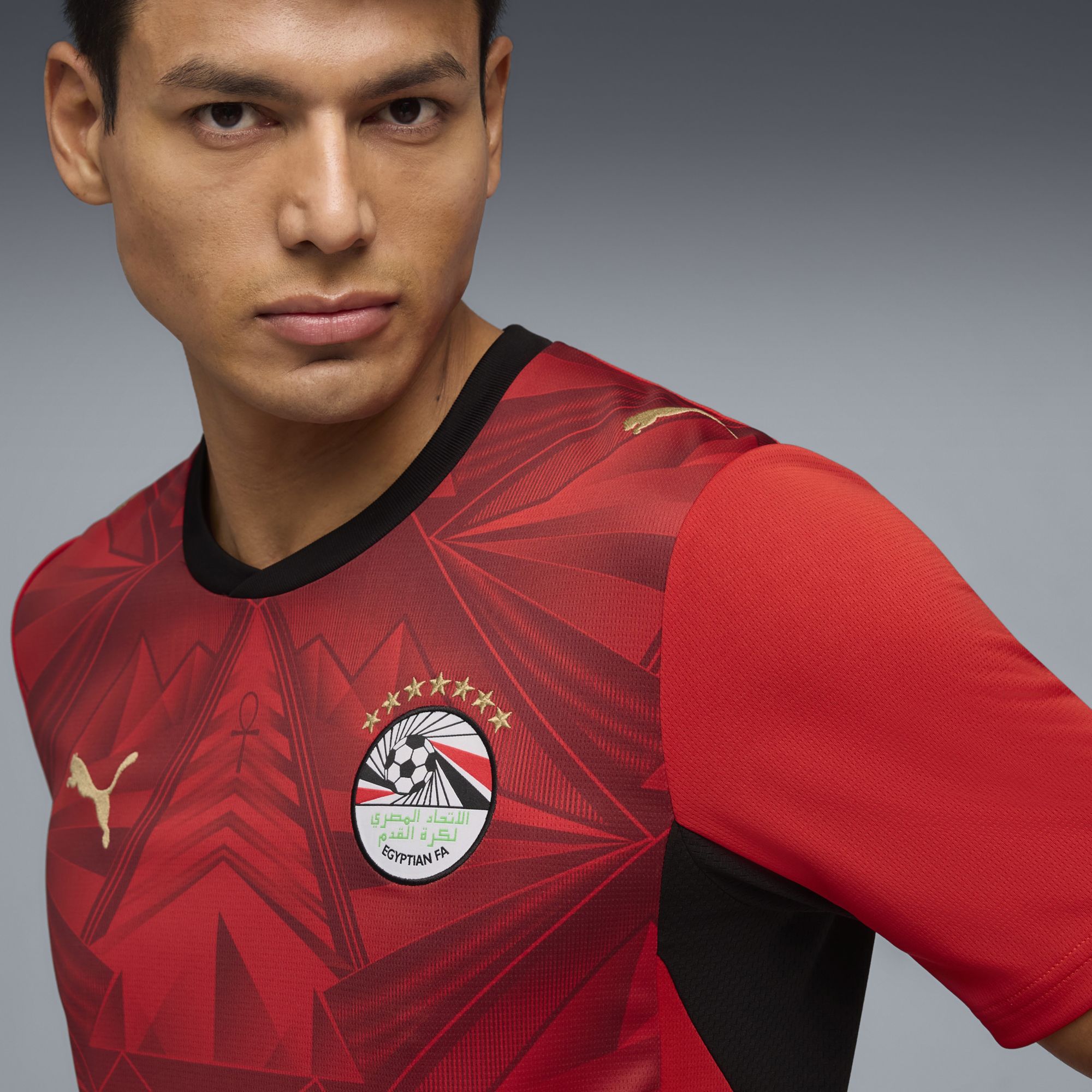 PUMA Adult Egypt 2026 Home Replica Jersey product image