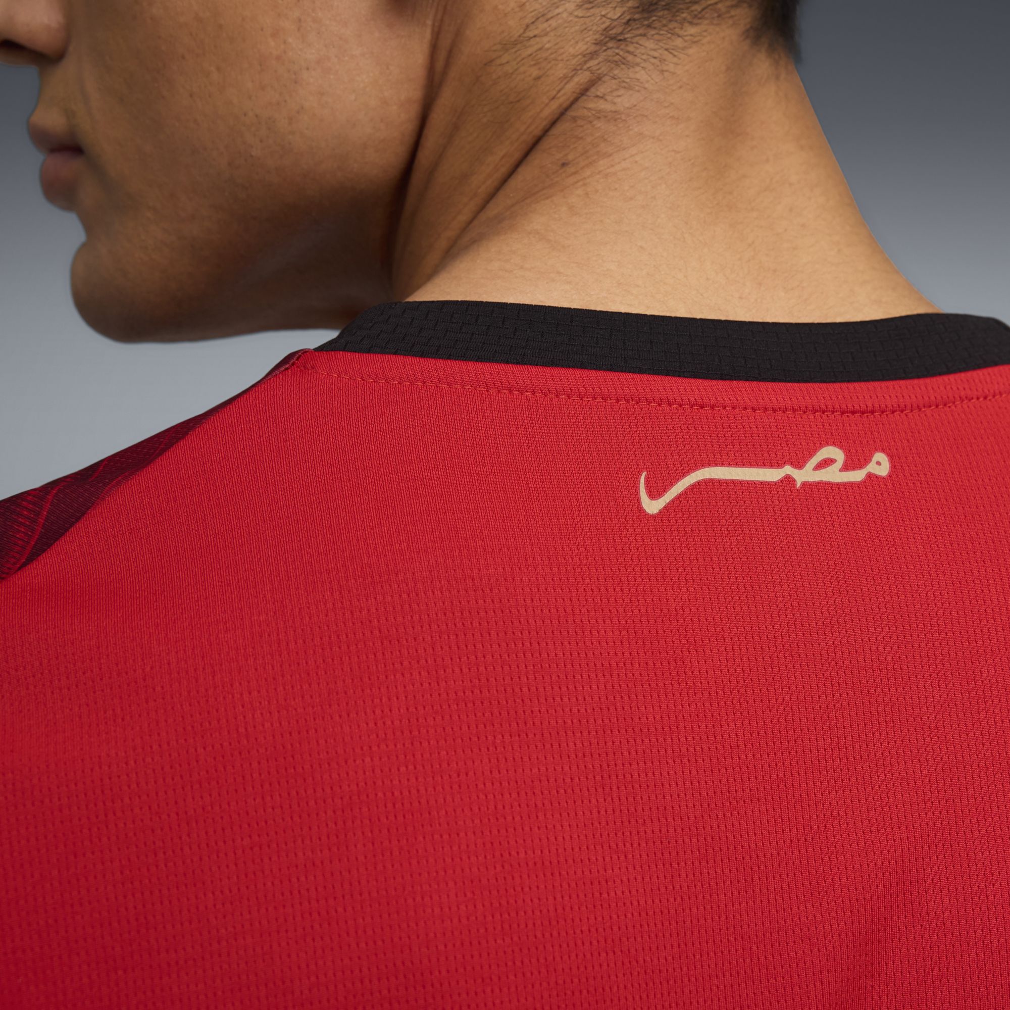 PUMA Adult Egypt 2026 Home Replica Jersey product image