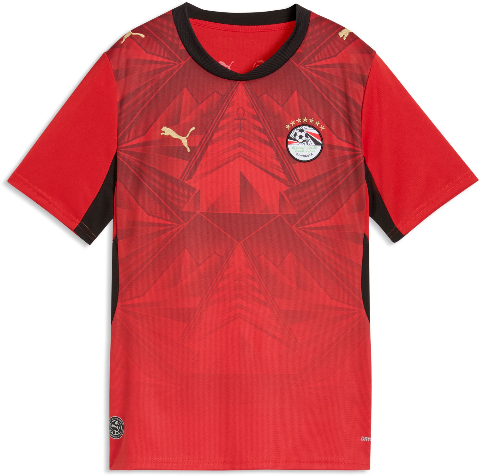 PUMA Youth Egypt 2026 Home Replica Jersey product image