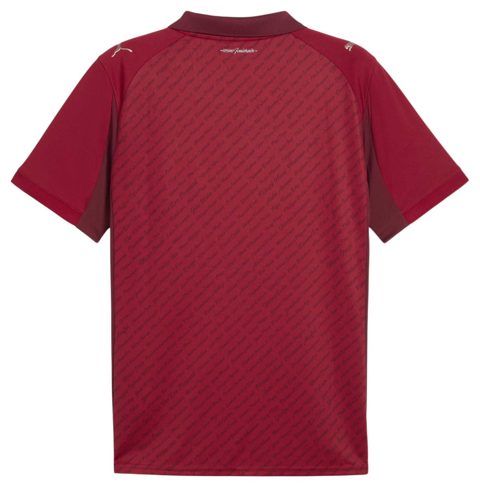 PUMA Adult Stade Rennais FC 2025 Special Edition Replica Jersey product image