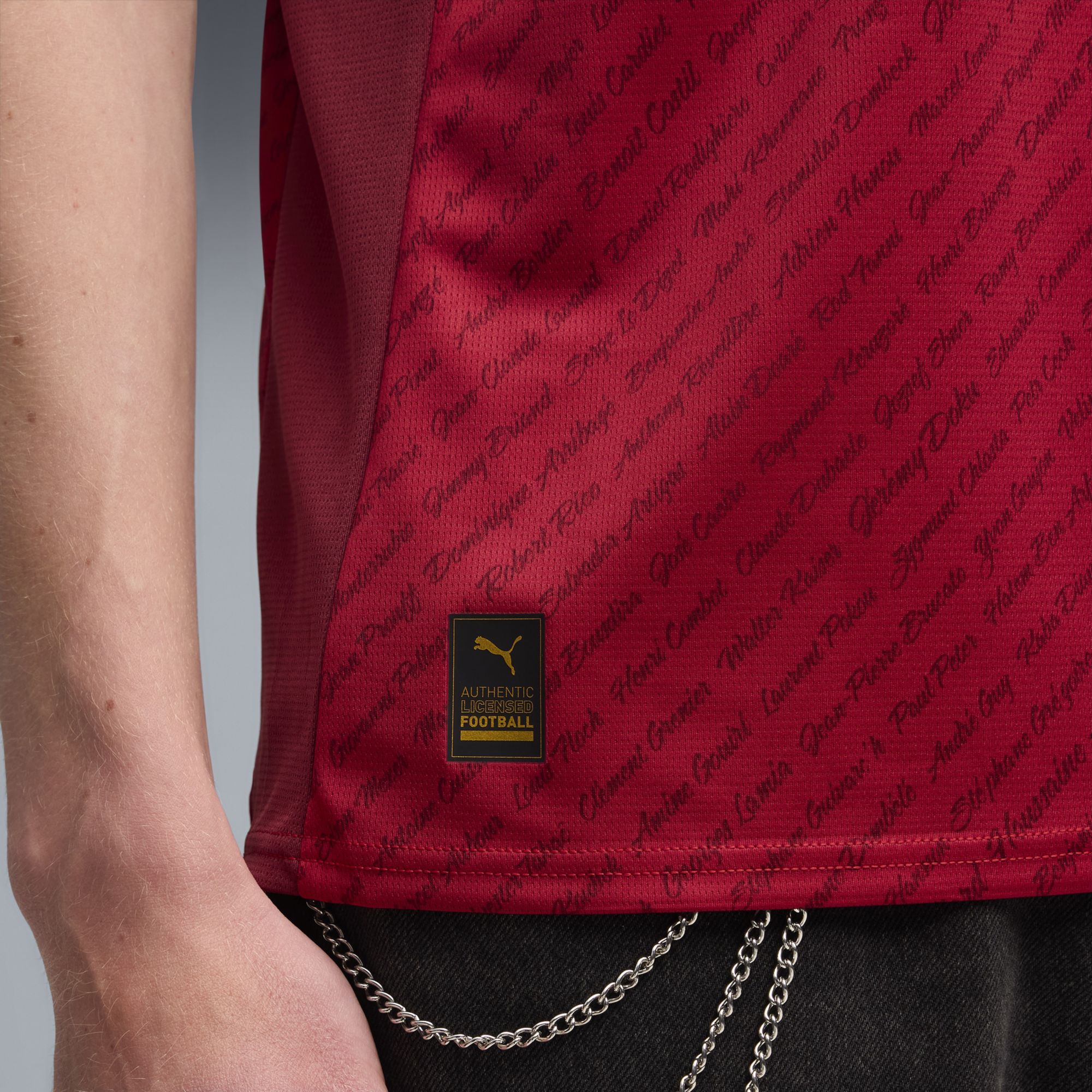 PUMA Adult Stade Rennais FC 2025 Special Edition Replica Jersey product image