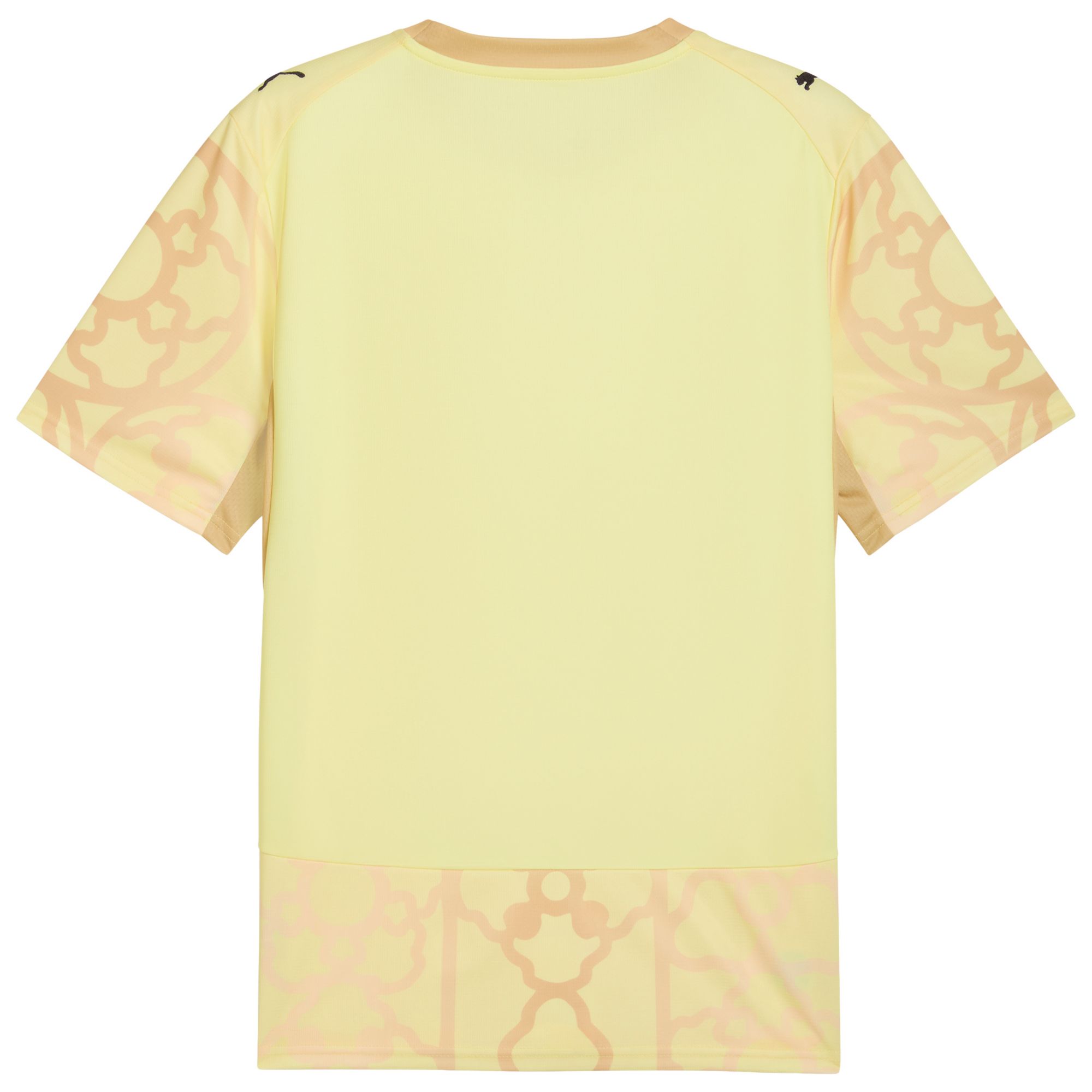 PUMA Adult Czech Republic X Salehe Bembury 2026 Goalkeeper Jersey product image