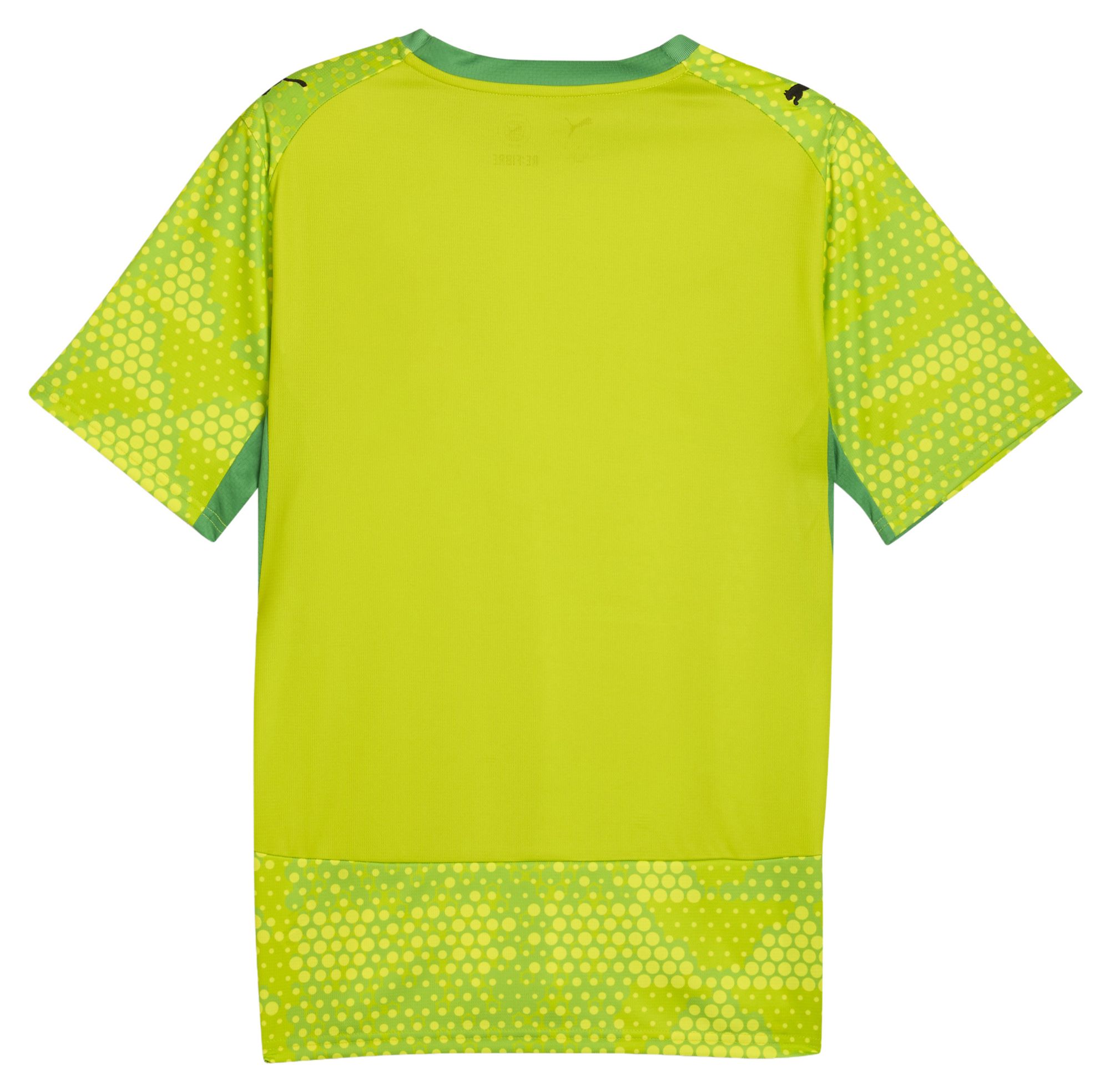 PUMA Adult Ghana X Salehe Bembury 2026 Goalkeeper Jersey product image