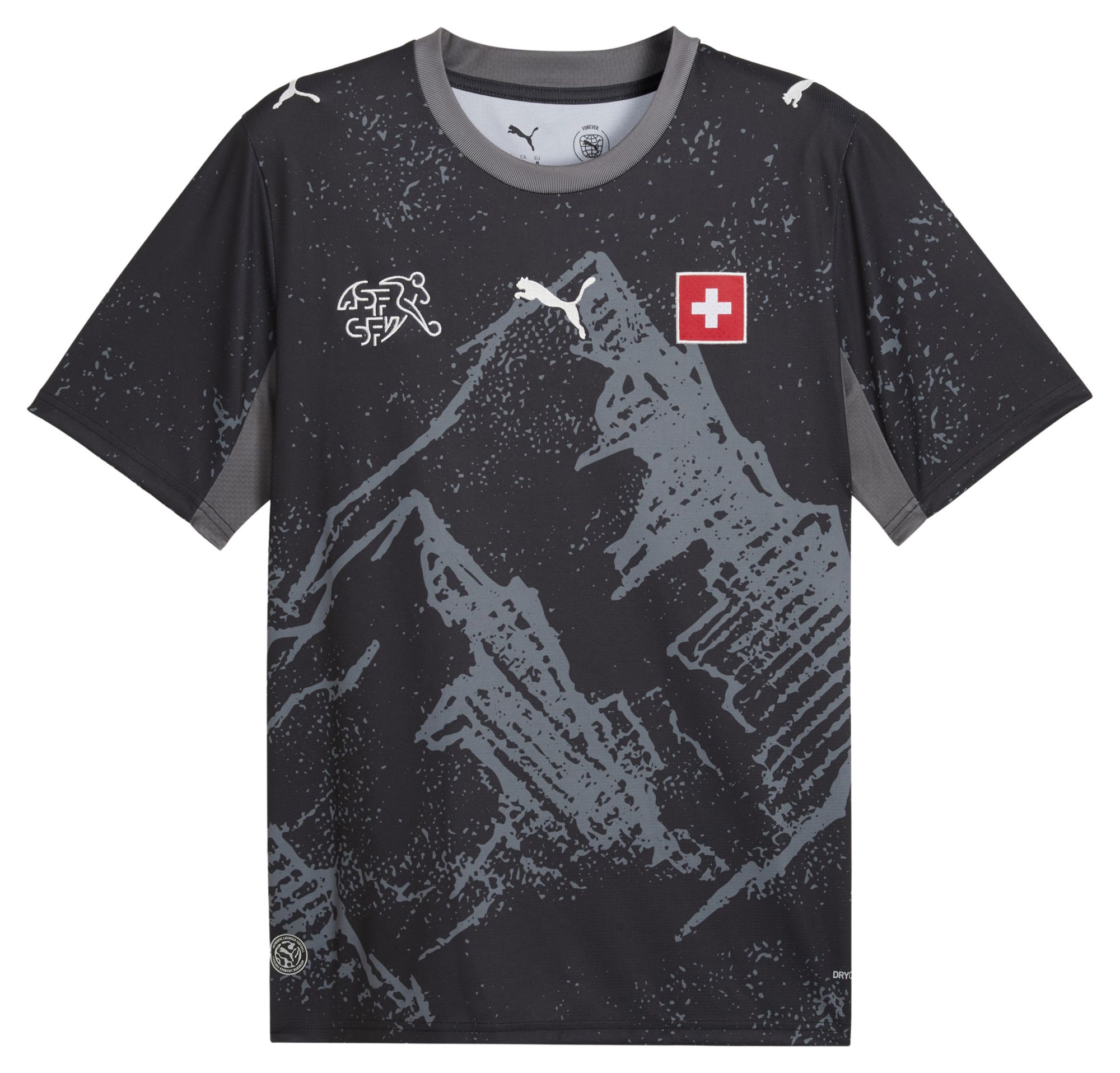 PUMA Adult Switzerland X Salehe Bembury 2026 Goalkeeper Jersey product image