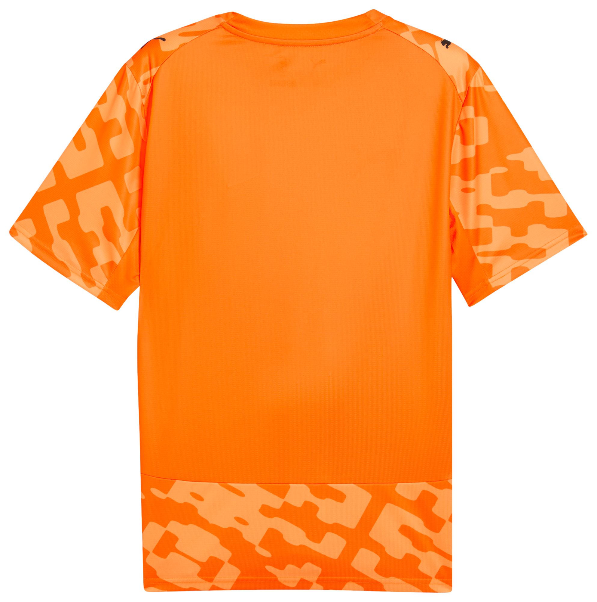 PUMA Adult Senegal X Salehe Bembury 2026 Goalkeeper Jersey product image
