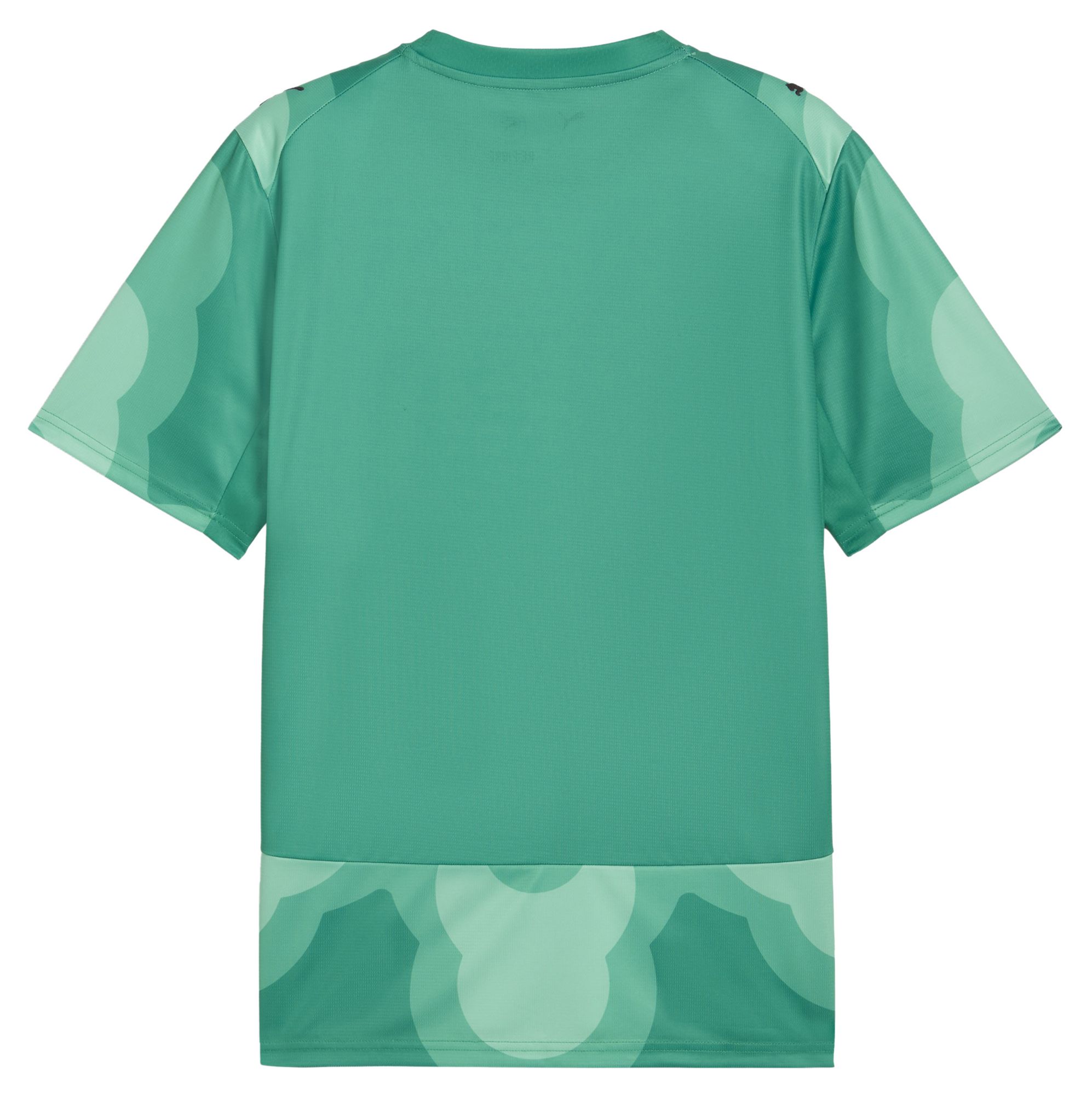 PUMA Adult Ivory Coast X Salehe Bembury 2026 Goalkeeper Jersey product image
