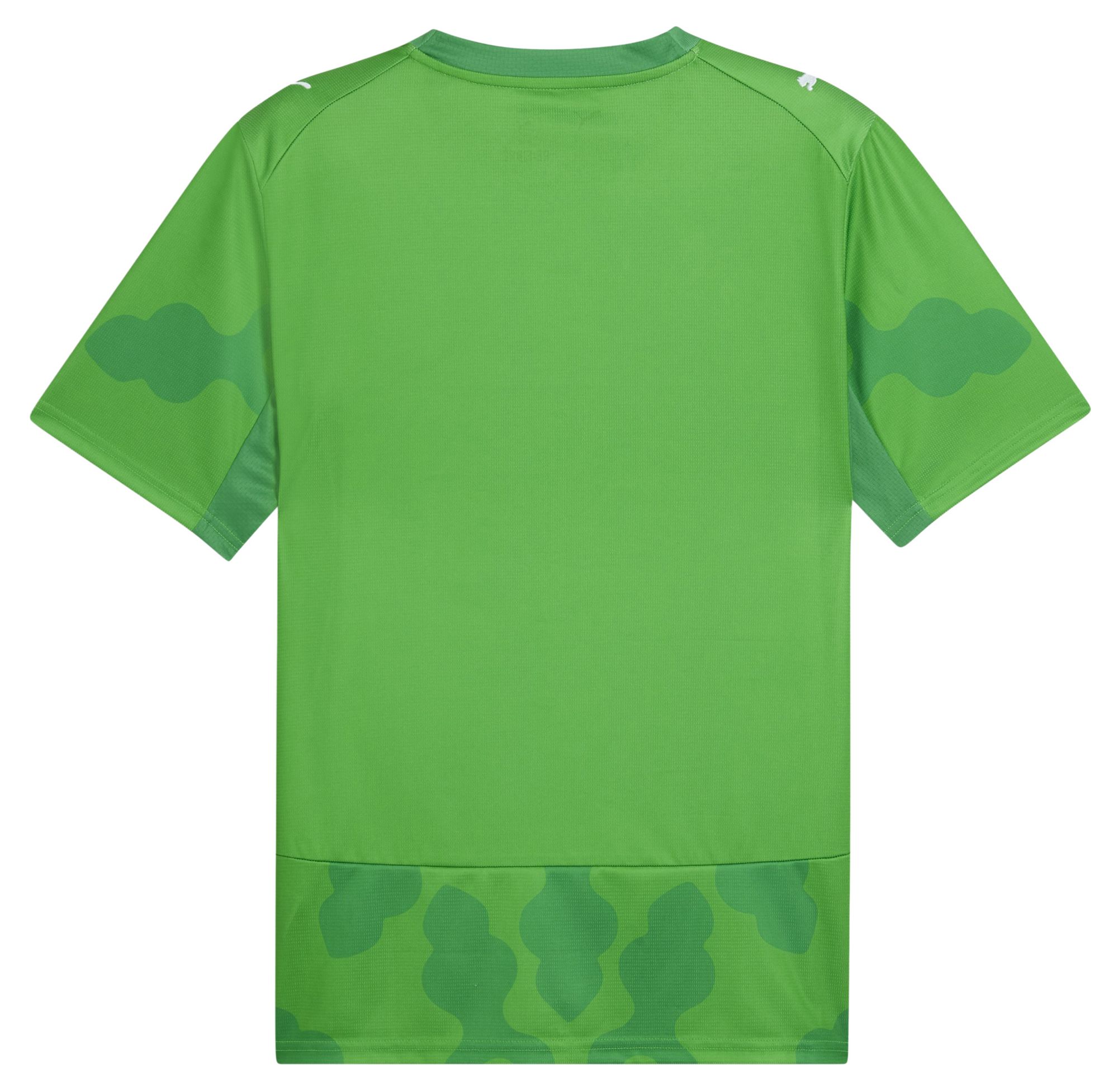PUMA Adult Egypt X Salehe Bembury 2026 Goalkeeper Jersey product image