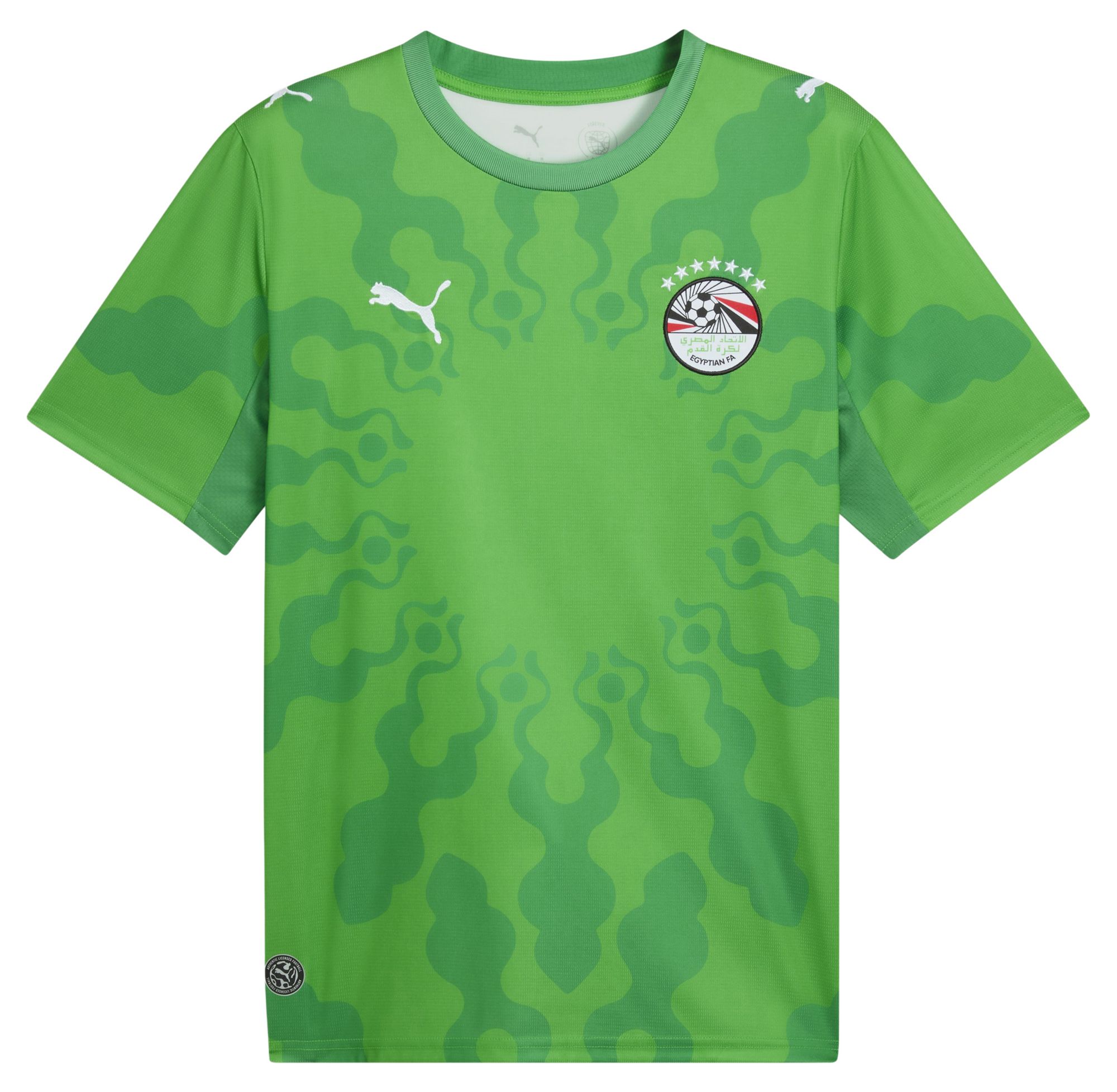 PUMA Adult Egypt X Salehe Bembury 2026 Goalkeeper Jersey product image