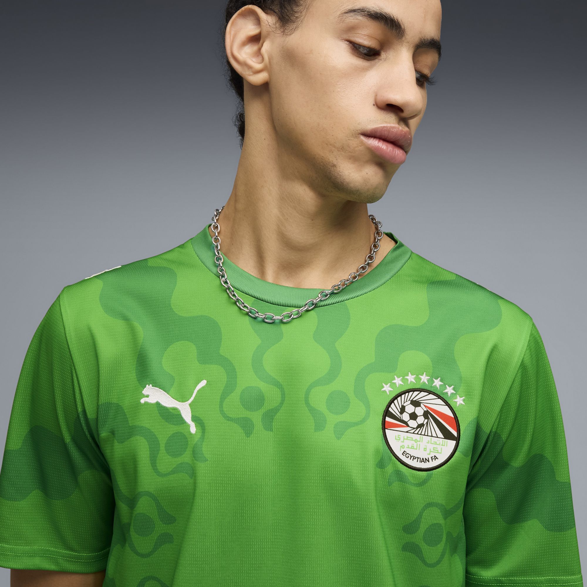 PUMA Adult Egypt X Salehe Bembury 2026 Goalkeeper Jersey product image