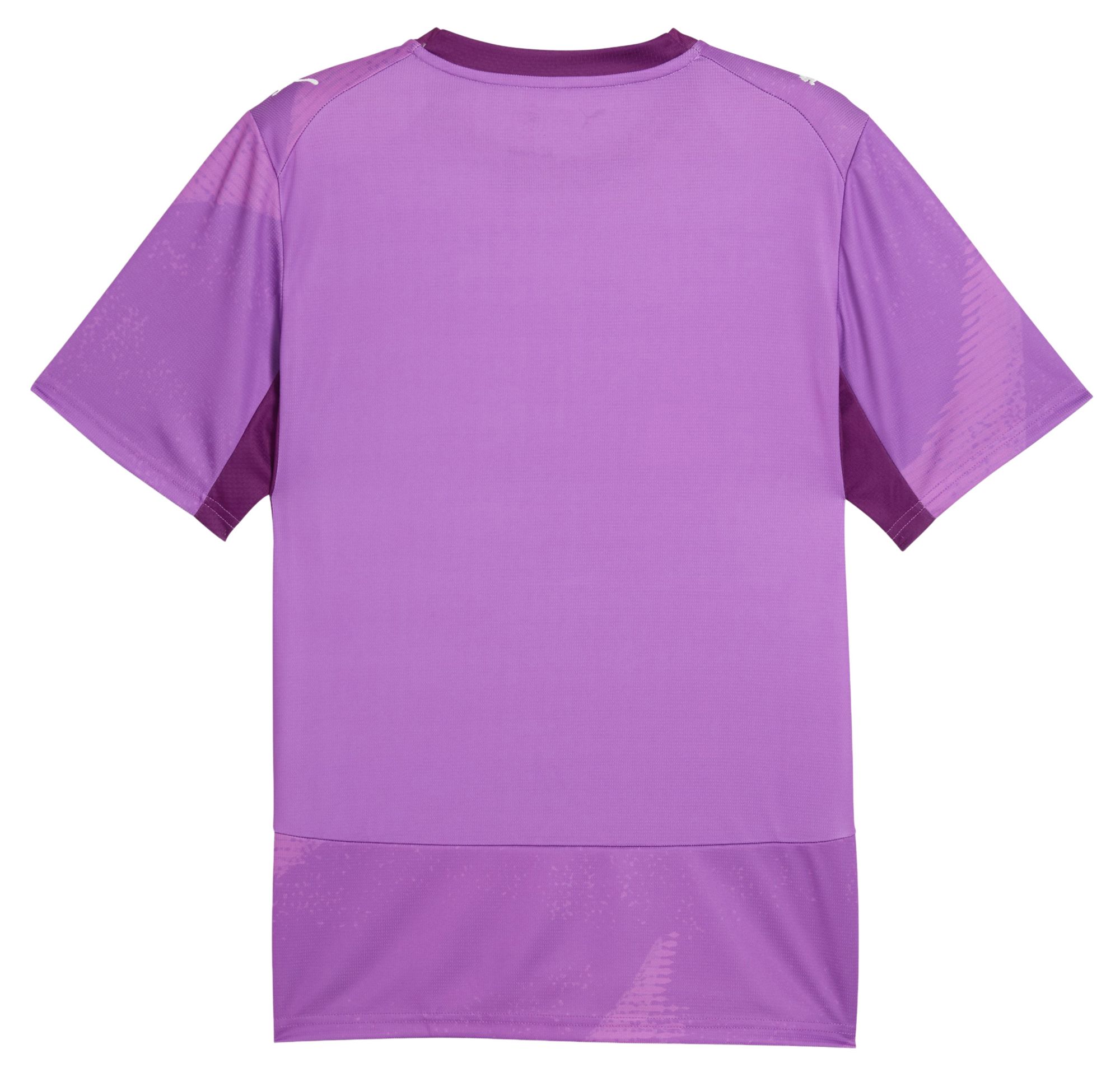 PUMA Adult Paraguay X Salehe Bembury 2026 Goalkeeper Jersey product image