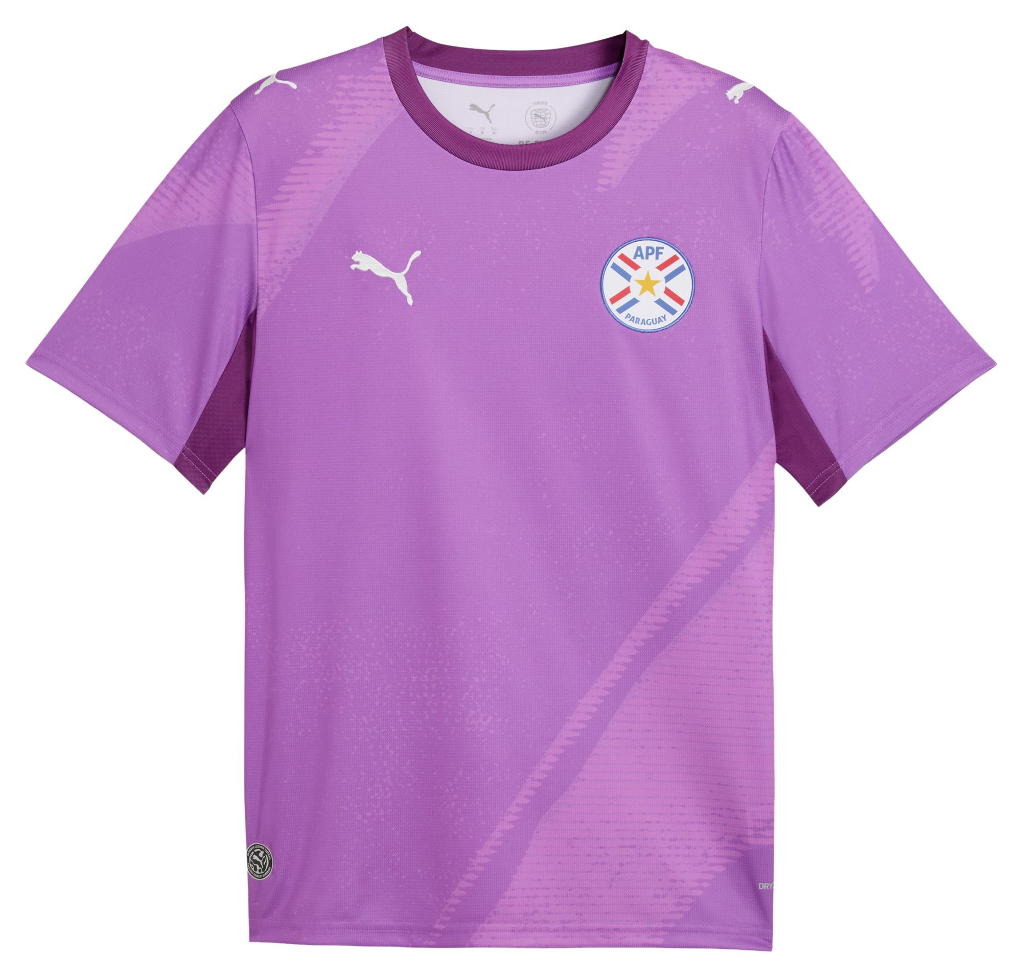 PUMA Adult Paraguay X Salehe Bembury 2026 Goalkeeper Jersey product image