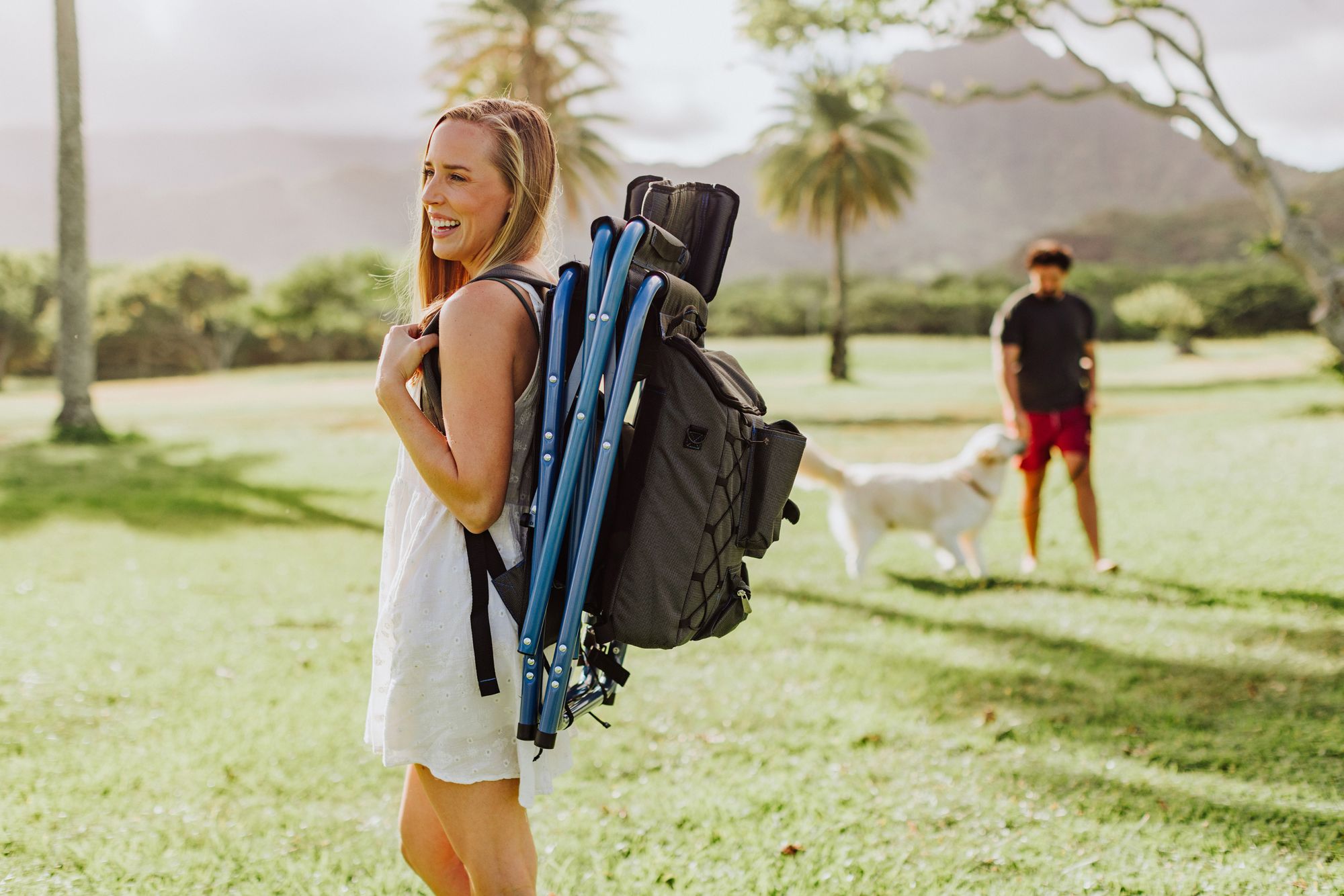 Picnic Time Fusion Camping Chair product image