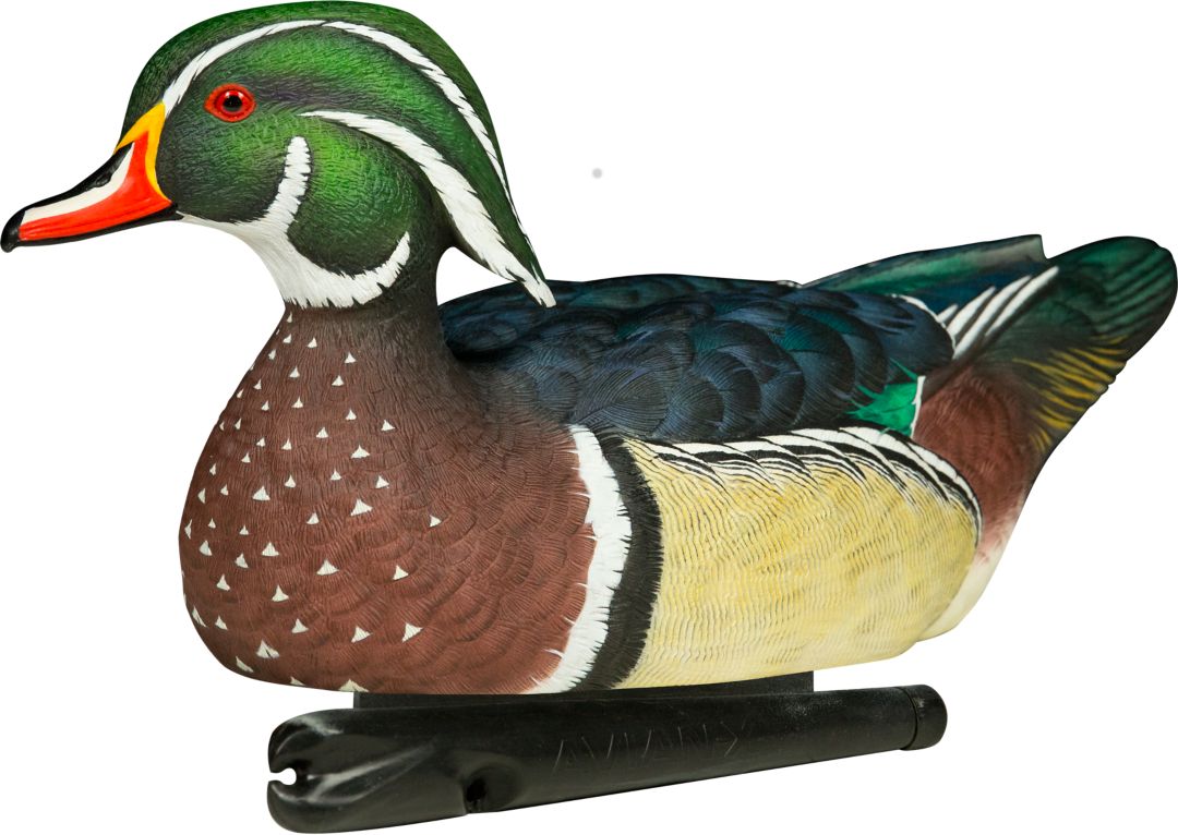 Avian X Topflight Wood Duck Decoy 6 Pack Field Stream