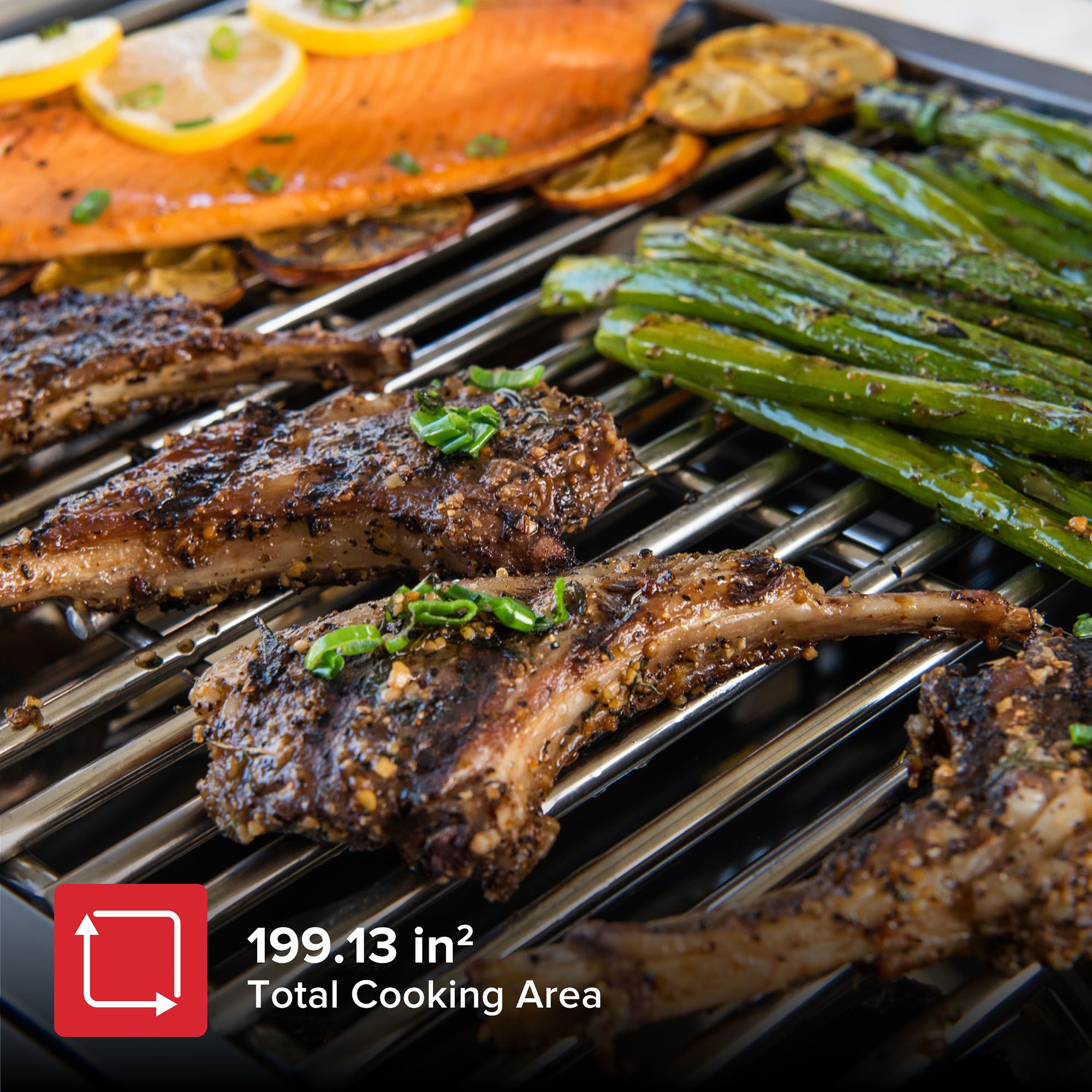 Nexgrill Rally 2-Burner Portable Gas Grill - Stainless Steel product image