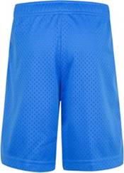 Nike Little Boys' Essentials Mesh Shorts product image