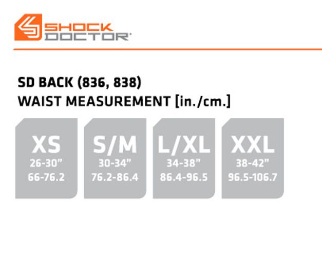 dicks sporting goods back brace