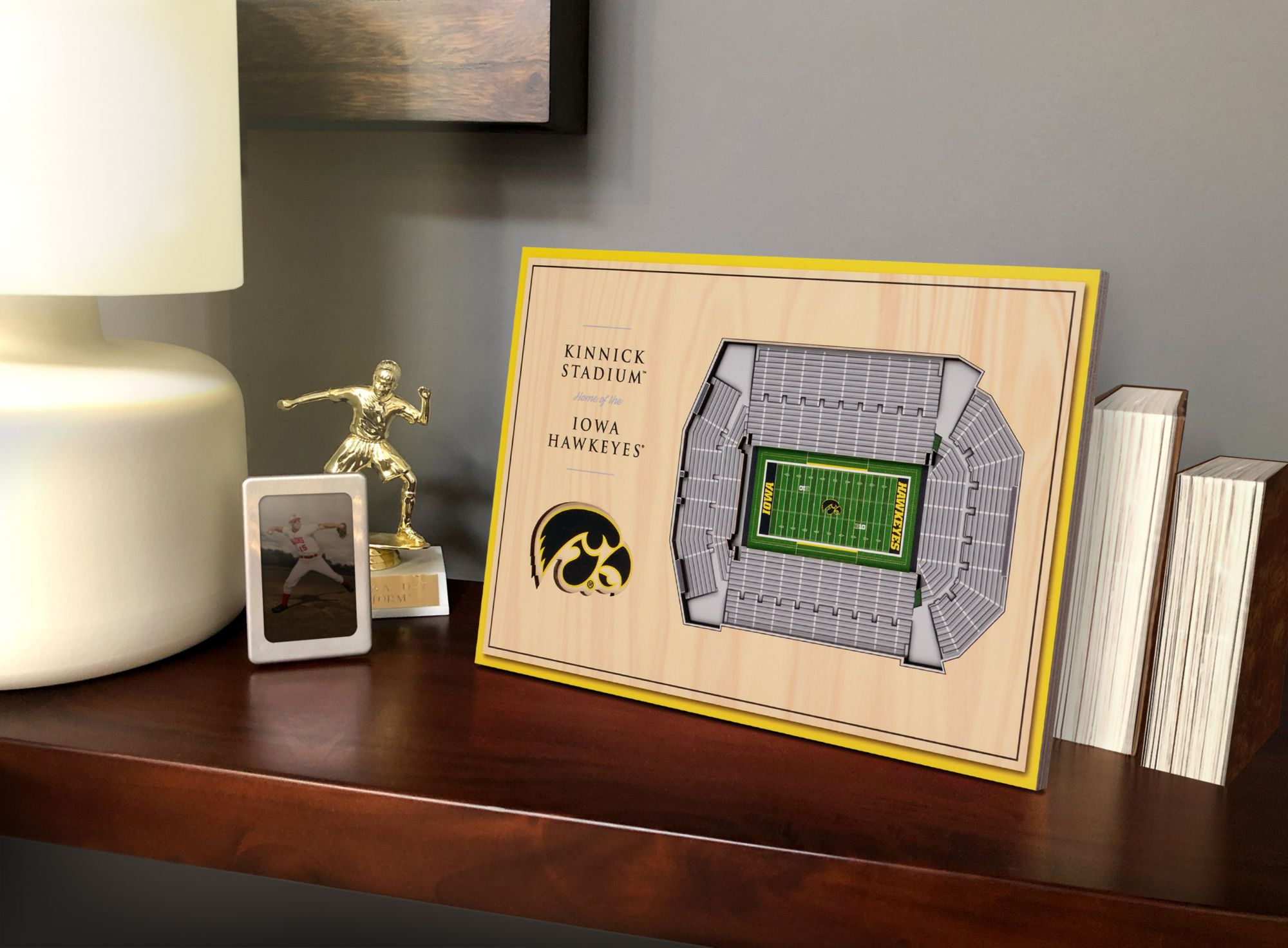 You the Fan Iowa Hawkeyes Stadium Views Desktop 3D Picture product image