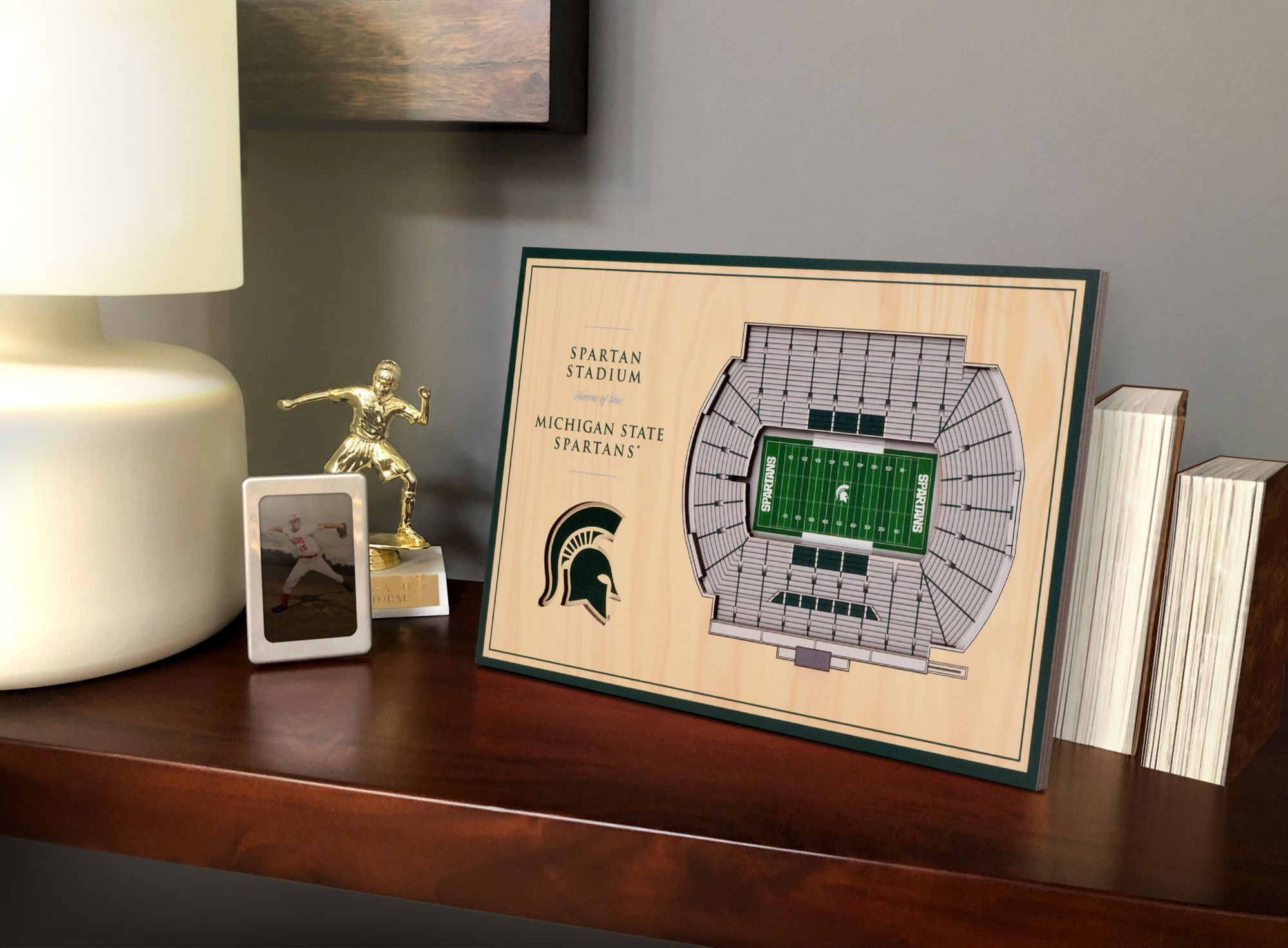 You the Fan Michigan State Spartans Stadium Views Desktop 3D Picture product image