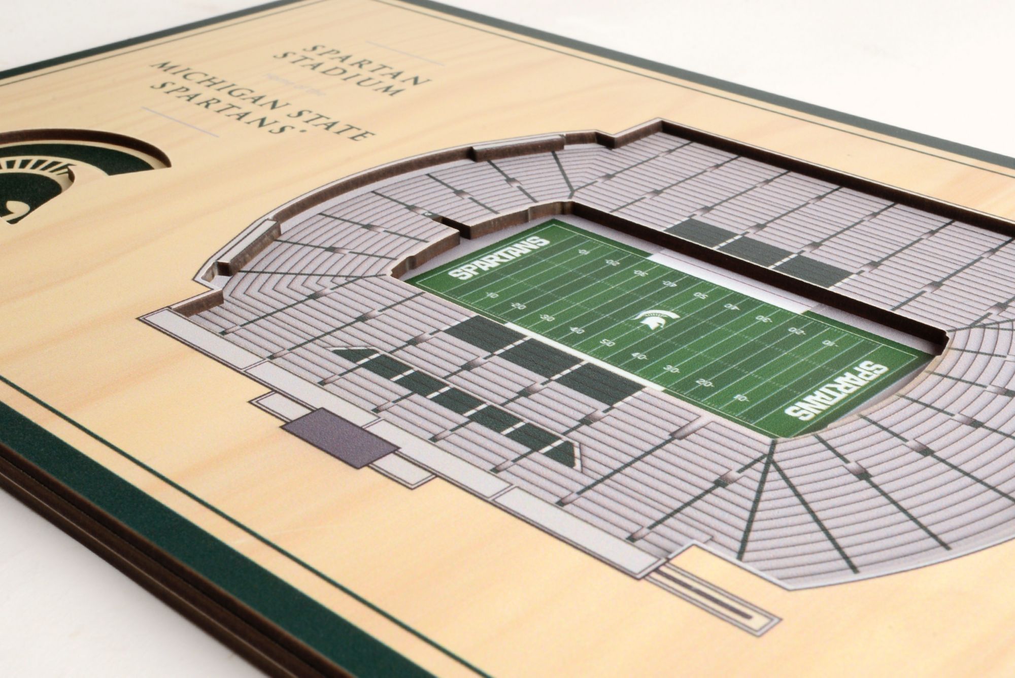 You the Fan Michigan State Spartans Stadium Views Desktop 3D Picture product image