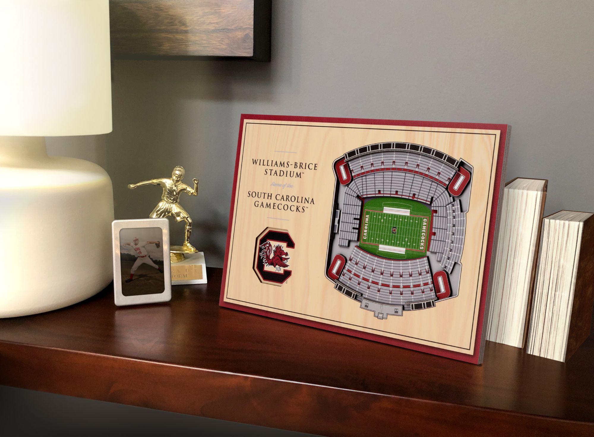 You the Fan South Carolina Gamecocks Stadium Views Desktop 3D Picture product image