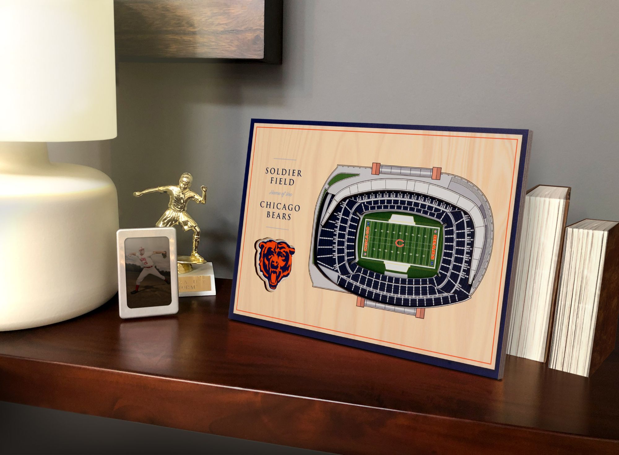 You the Fan Chicago Bears Stadium Views Desktop 3D Picture product image