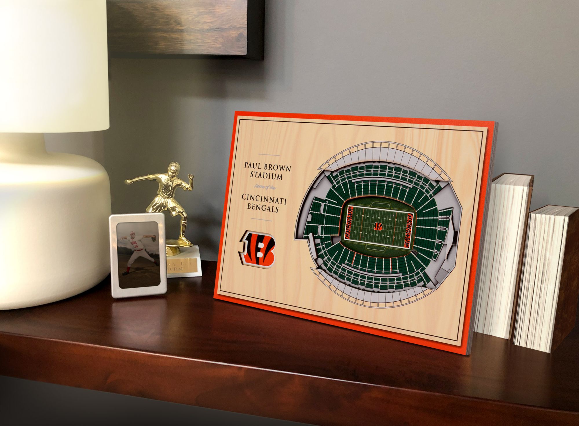 You the Fan Cincinnati Bengals Stadium Views Desktop 3D Picture product image