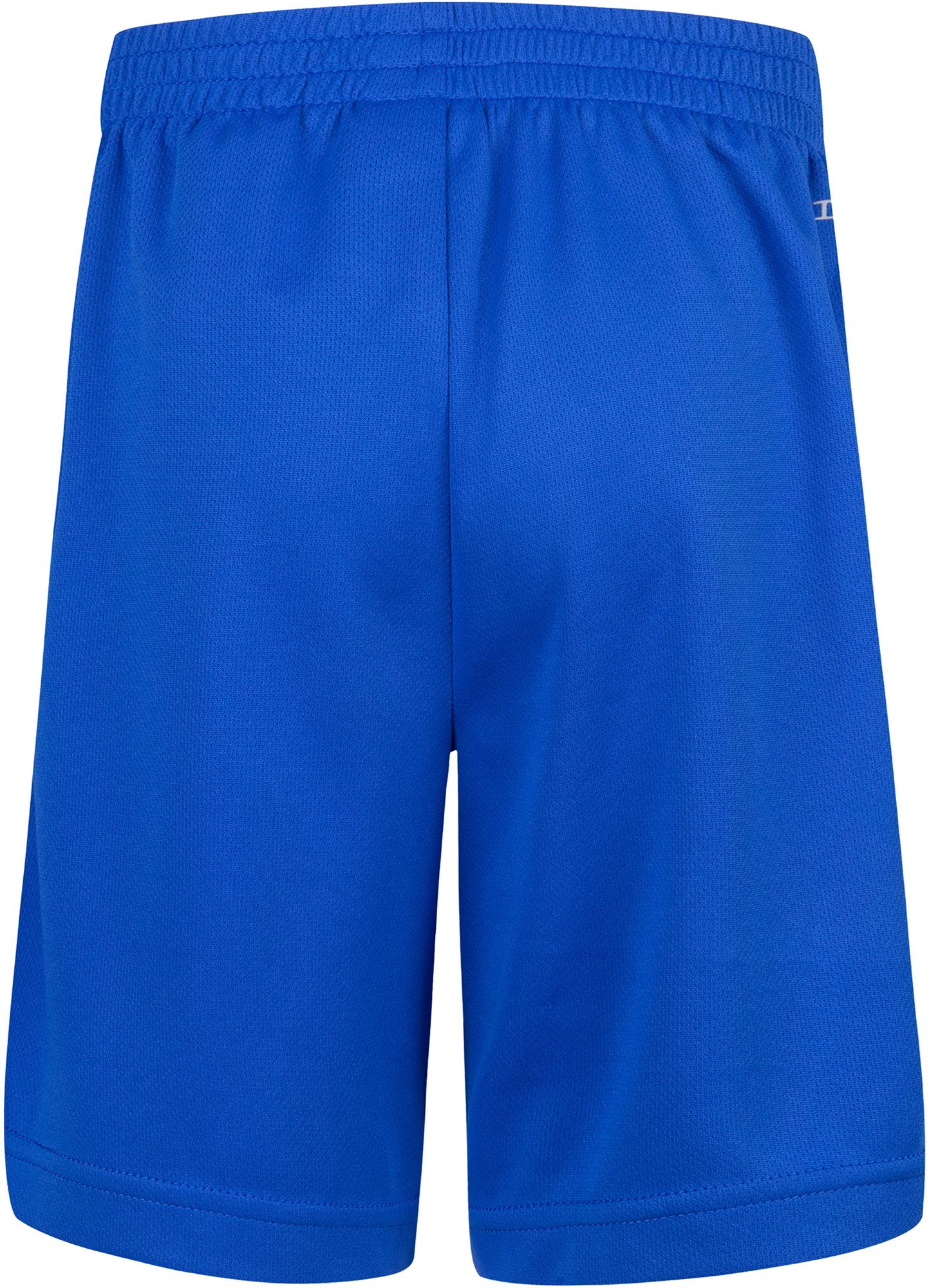 Nike Little Boys' Dri-FIT All Day Play Shorts product image