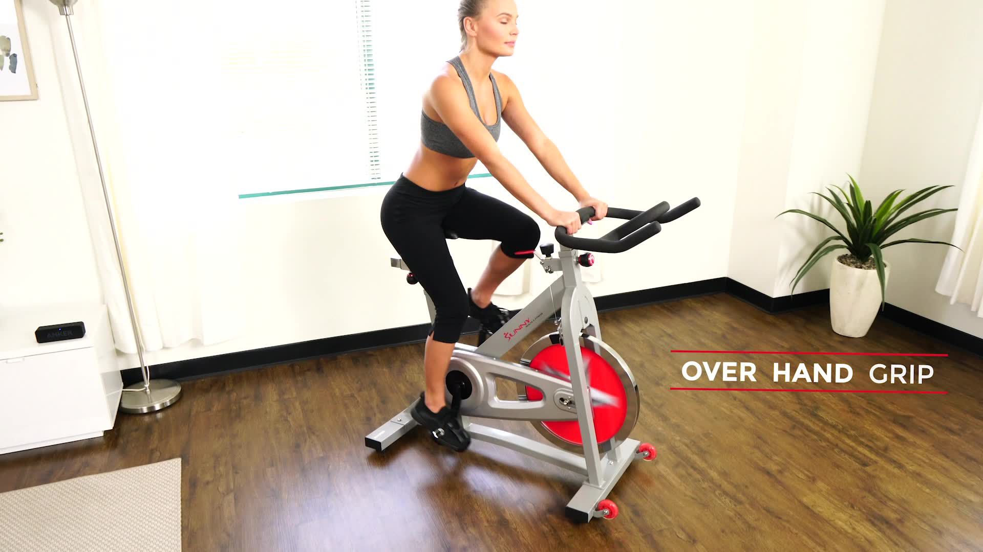 sunny health & fitness flywheel chain drive pro indoor bike