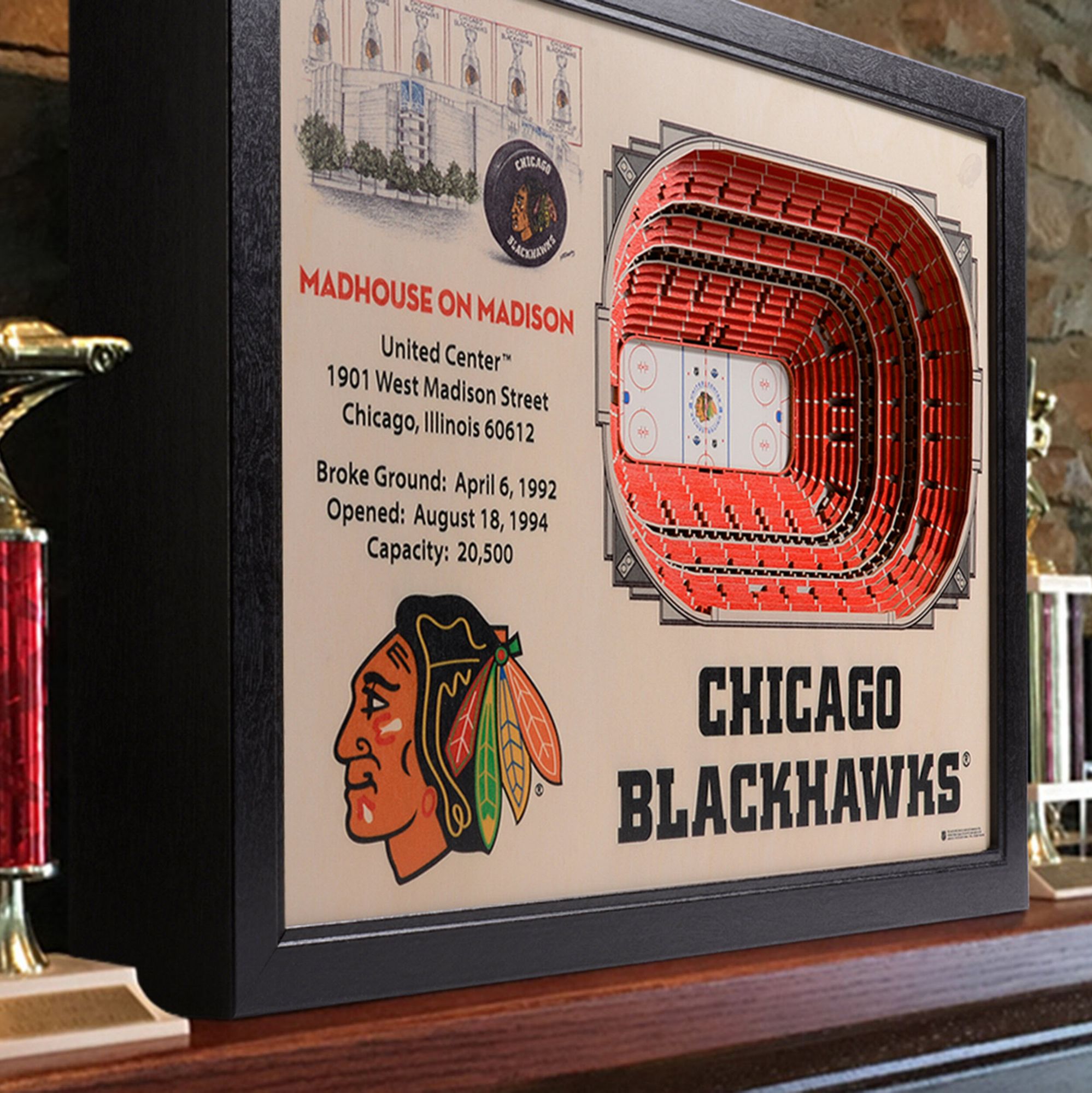 You the Fan Chicago Blackhawks 25-Layer StadiumViews 3D Wall Art