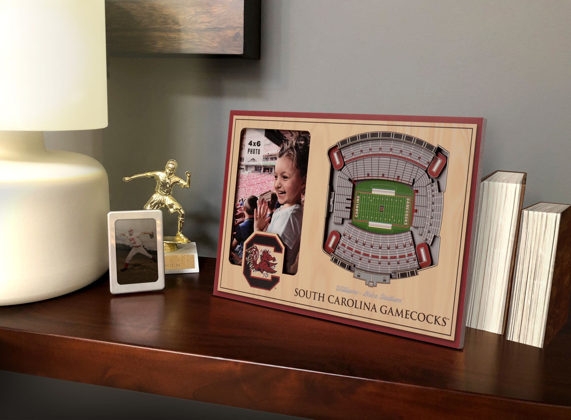 YouTheFan South Carolina Gamecocks 3D Picture Frame product image
