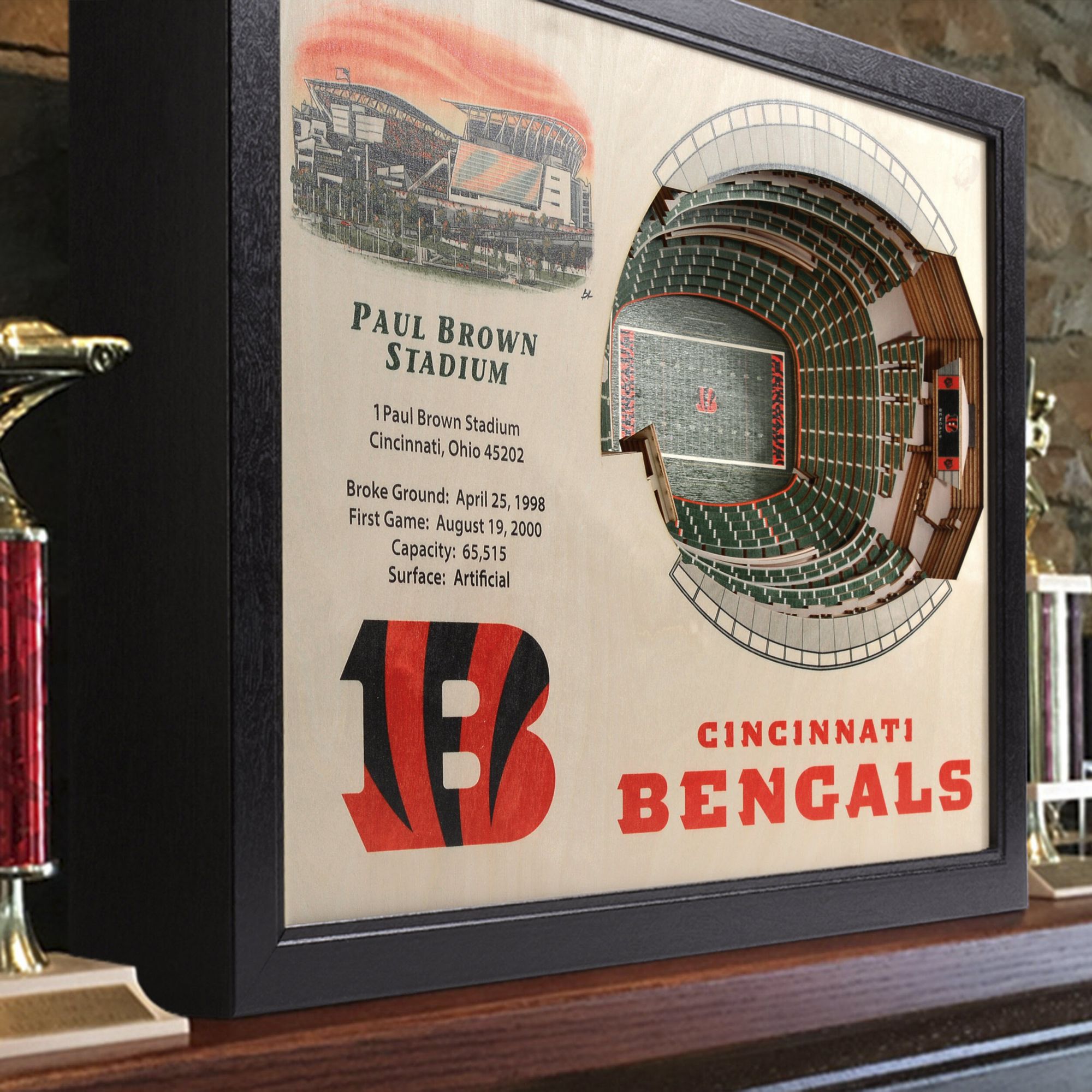 YouTheFan Cincinnati Bengals 25-Layer StadiumViews 3D Wall Art product image