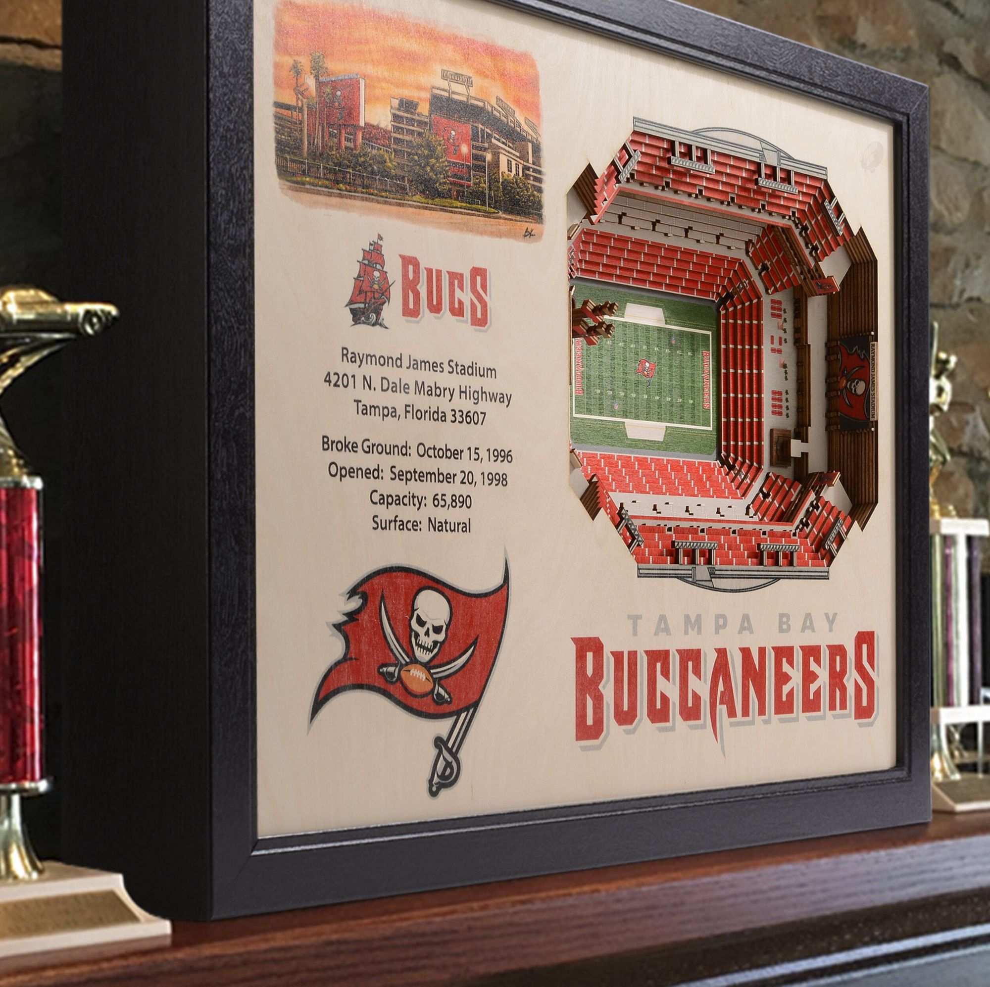 YouTheFan Tampa Bay Buccaneers 25-Layer StadiumViews 3D Wall Art product image