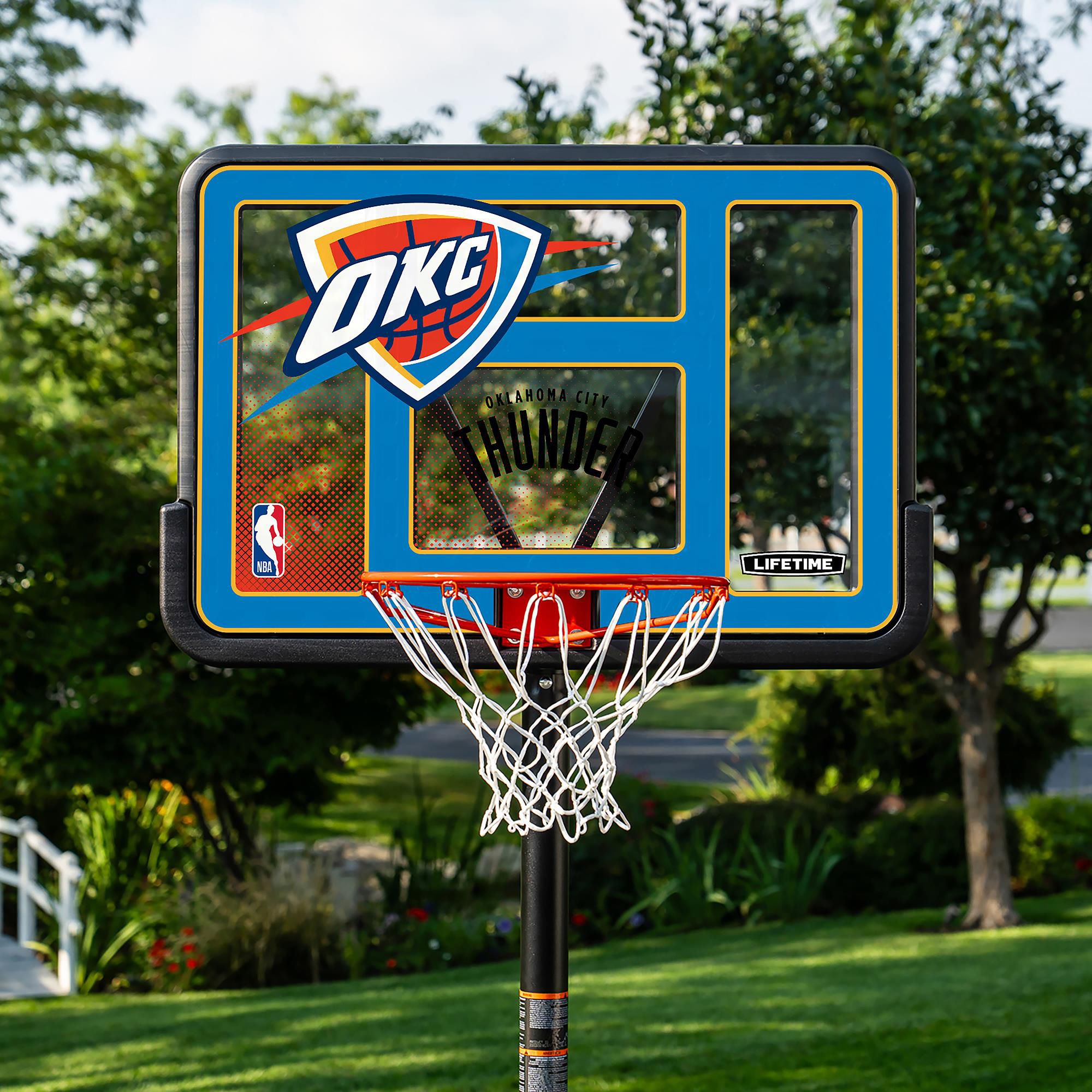Lifetime 44 in. Portable NBA Pro-Court Hoop product image