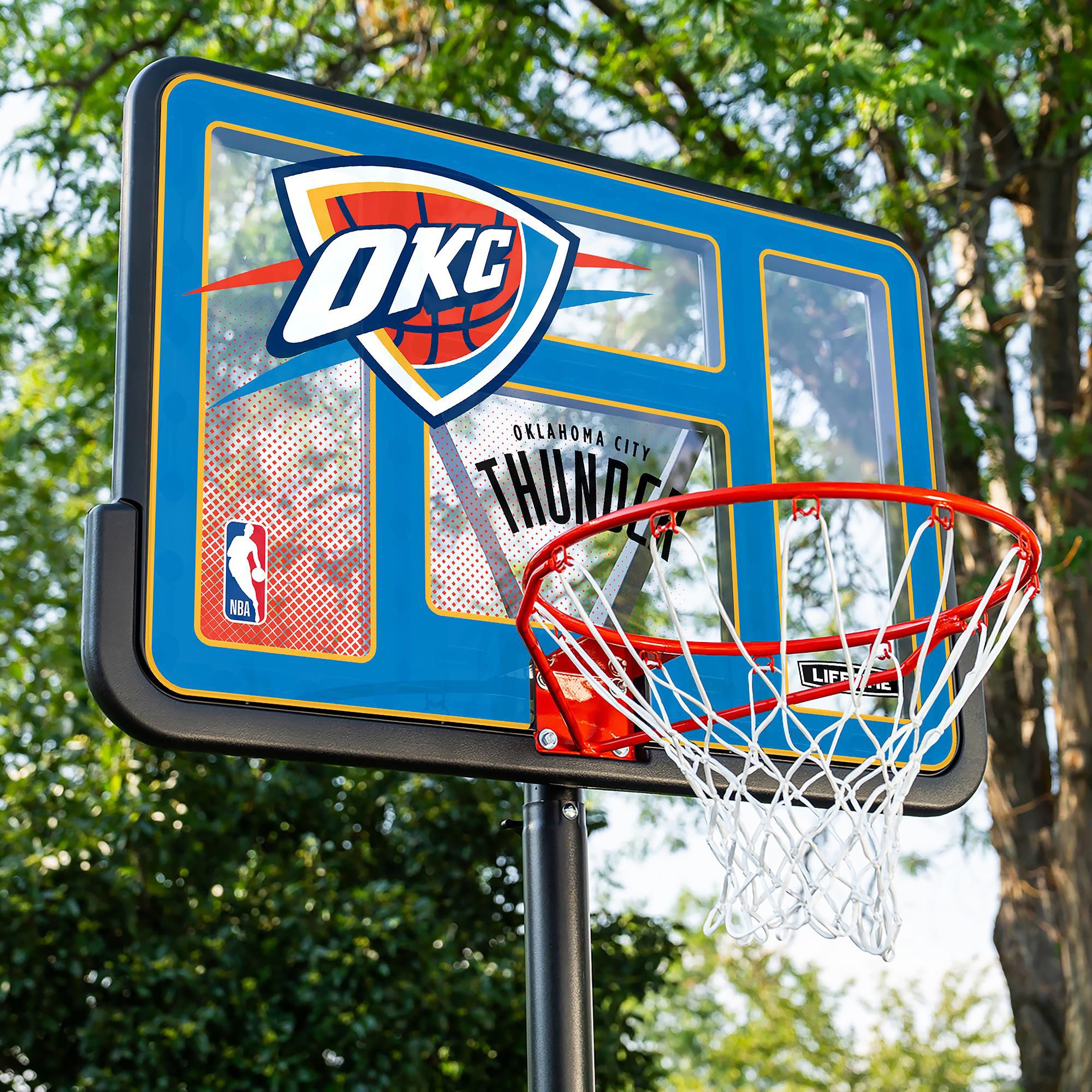 Lifetime 44 in. Portable NBA Pro-Court Hoop product image