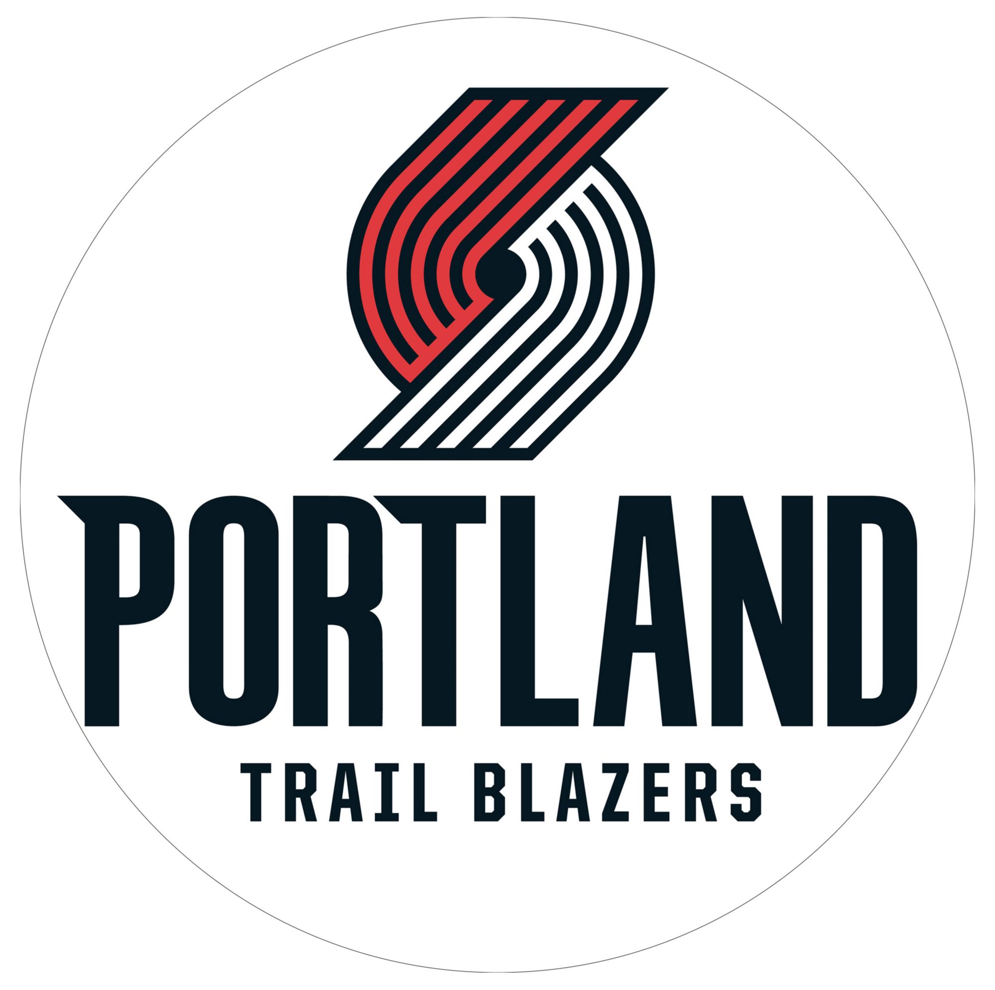 Lifetime 44 in. Portable NBA Pro-Court Hoop product image