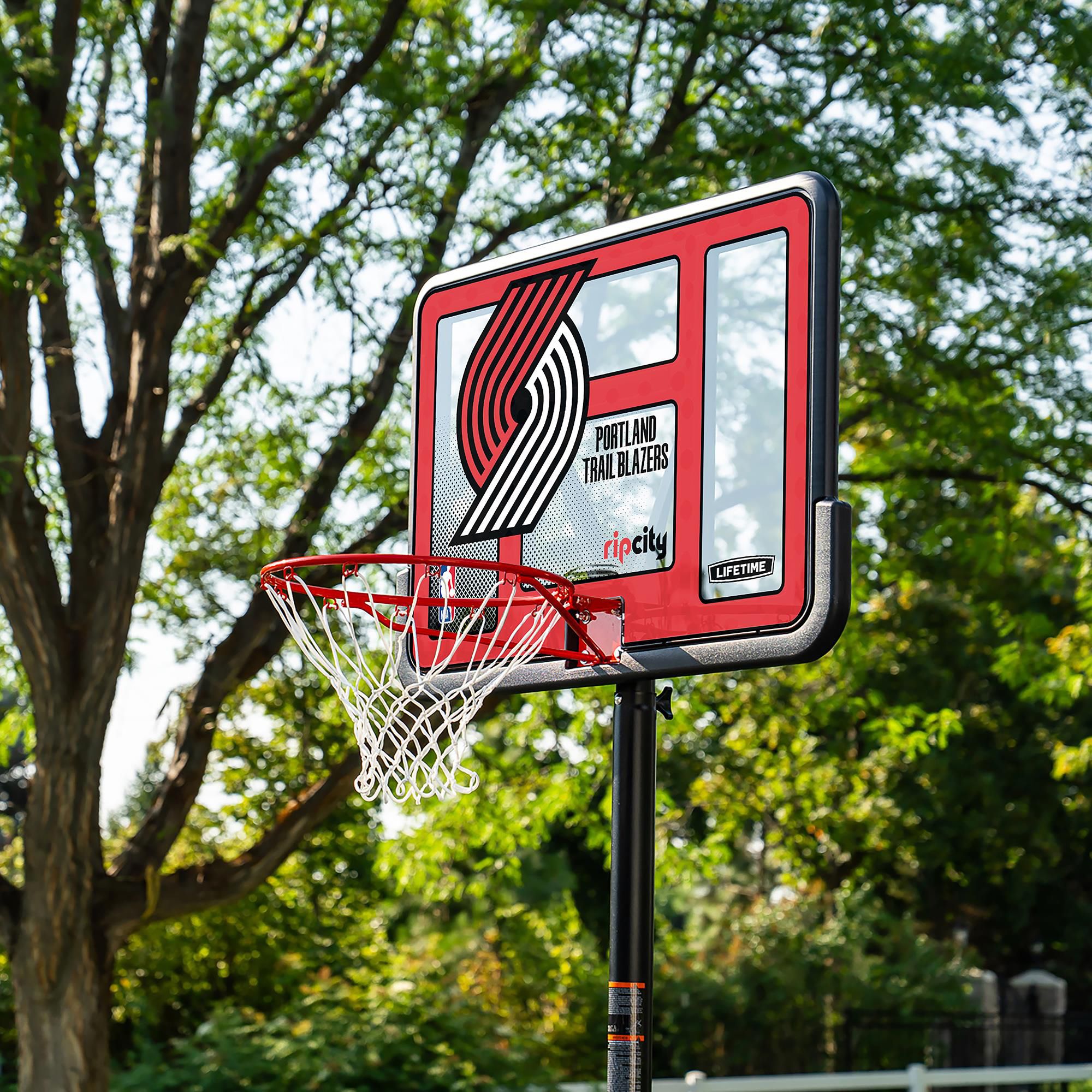 Lifetime 44 in. Portable NBA Pro-Court Hoop product image
