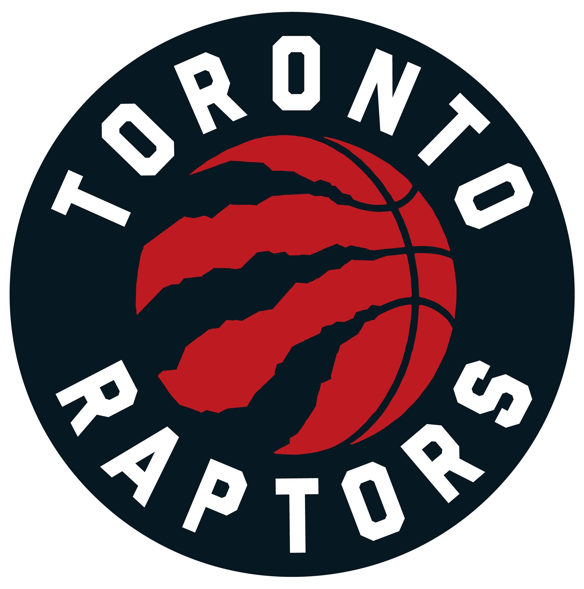 Lifetime 44 in. Portable NBA Pro-Court Hoop product image