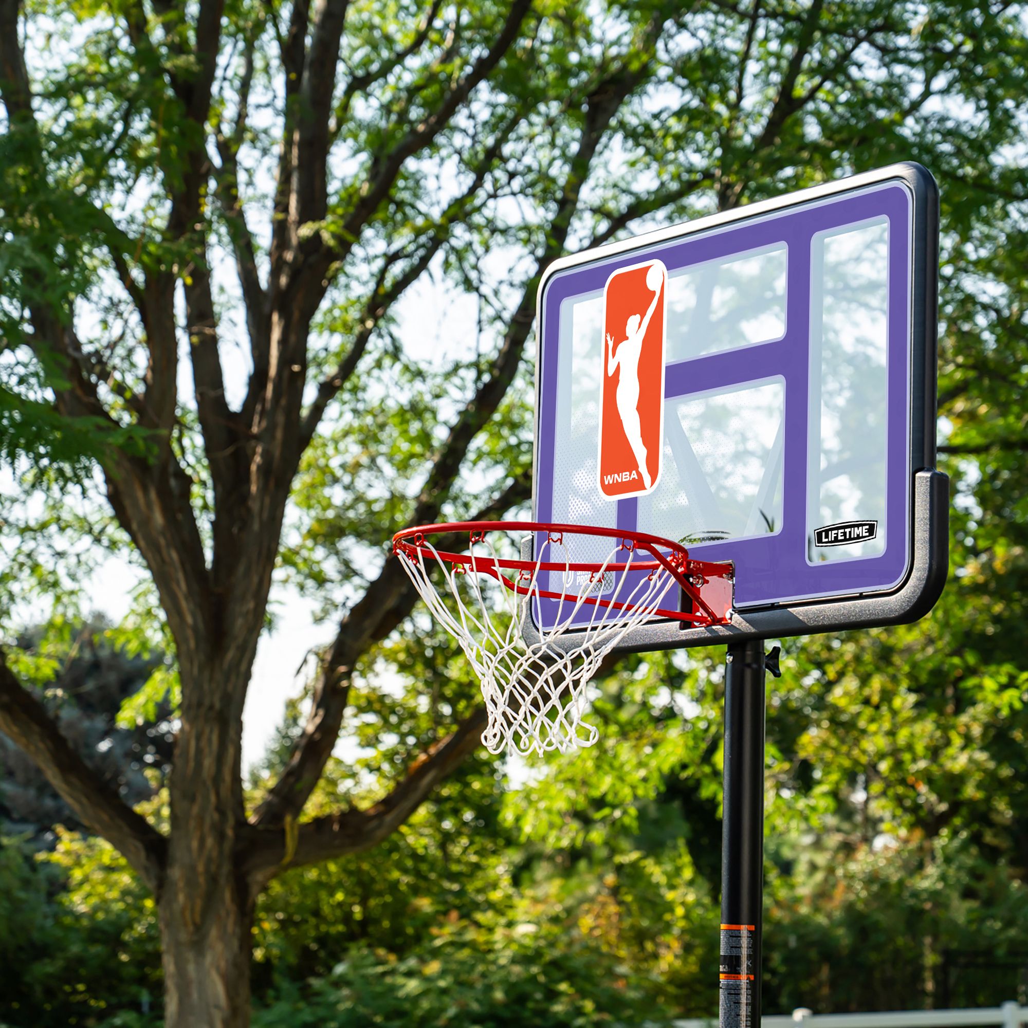 Lifetime 44 in. Portable WNBA Pro-Court Hoop product image
